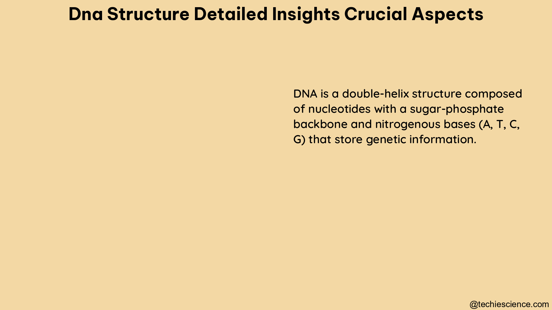 dna structure detailed insights crucial aspects