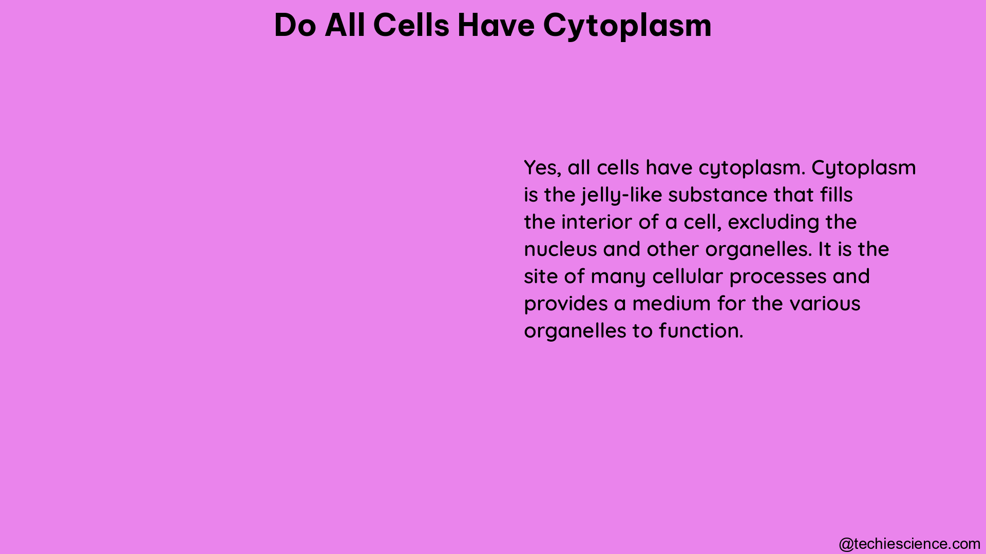 do all cells have cytoplasm