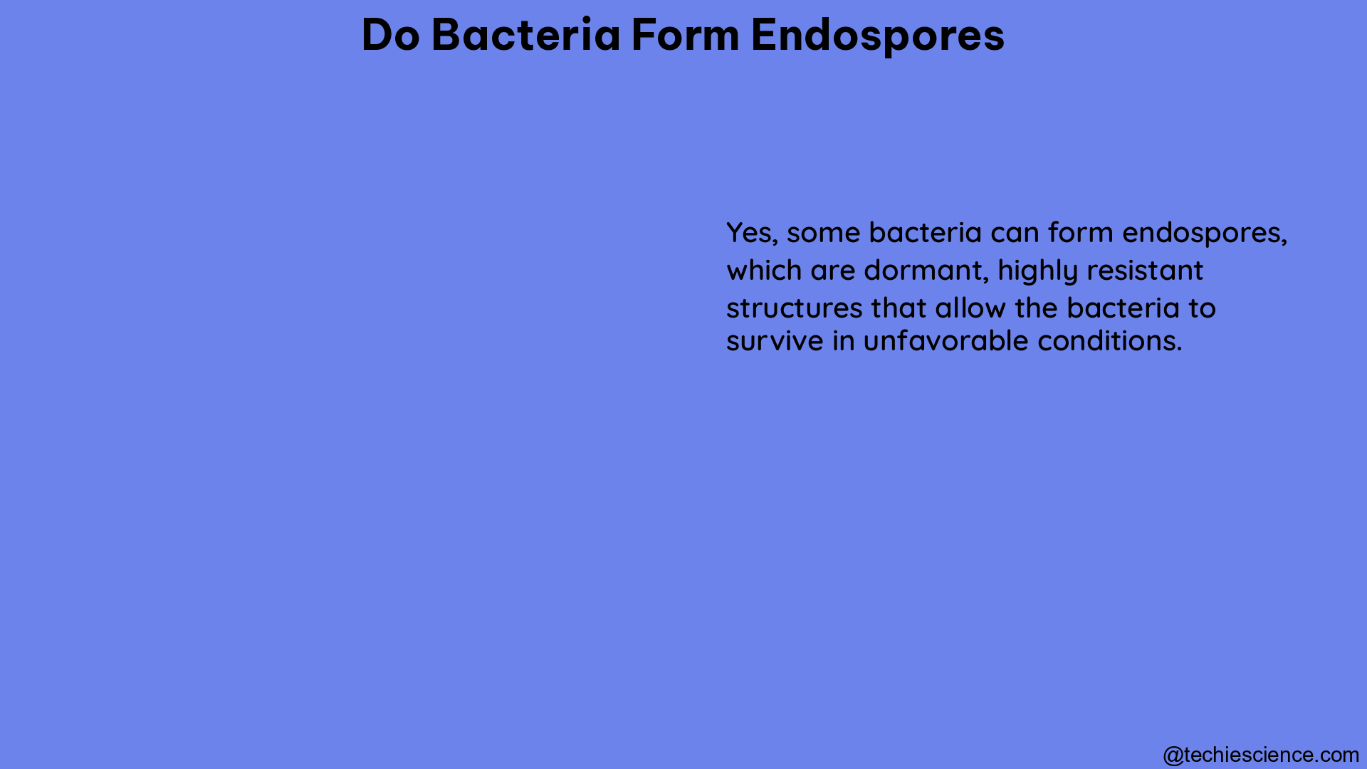 do bacteria form endospores