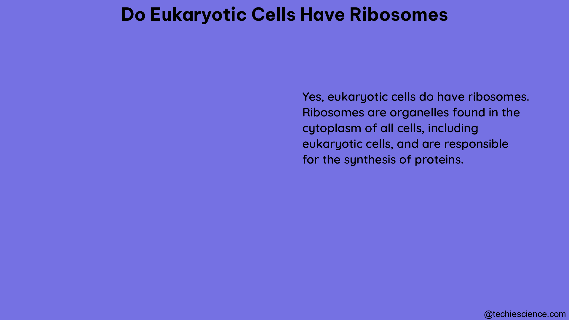 do eukaryotic cells have ribosomes