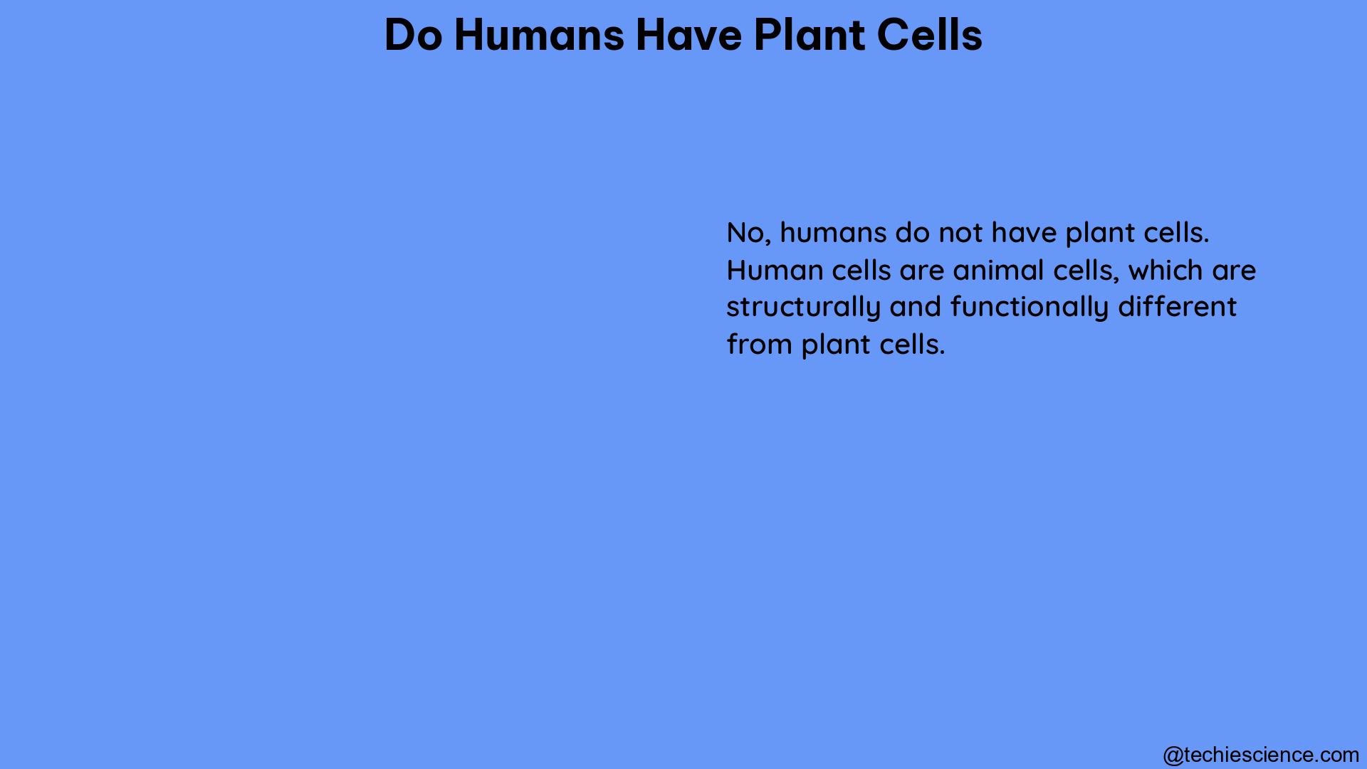 do humans have plant cells