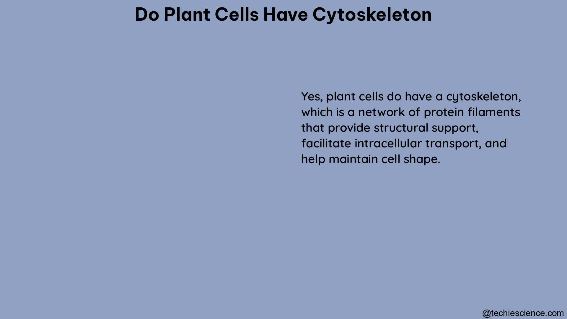 do plant cells have cytoskeleton