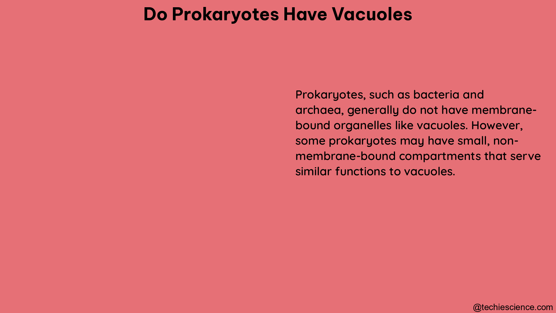 do prokaryotes have vacuoles