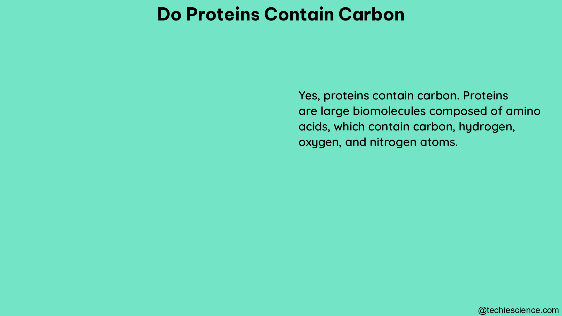 do proteins contain carbon