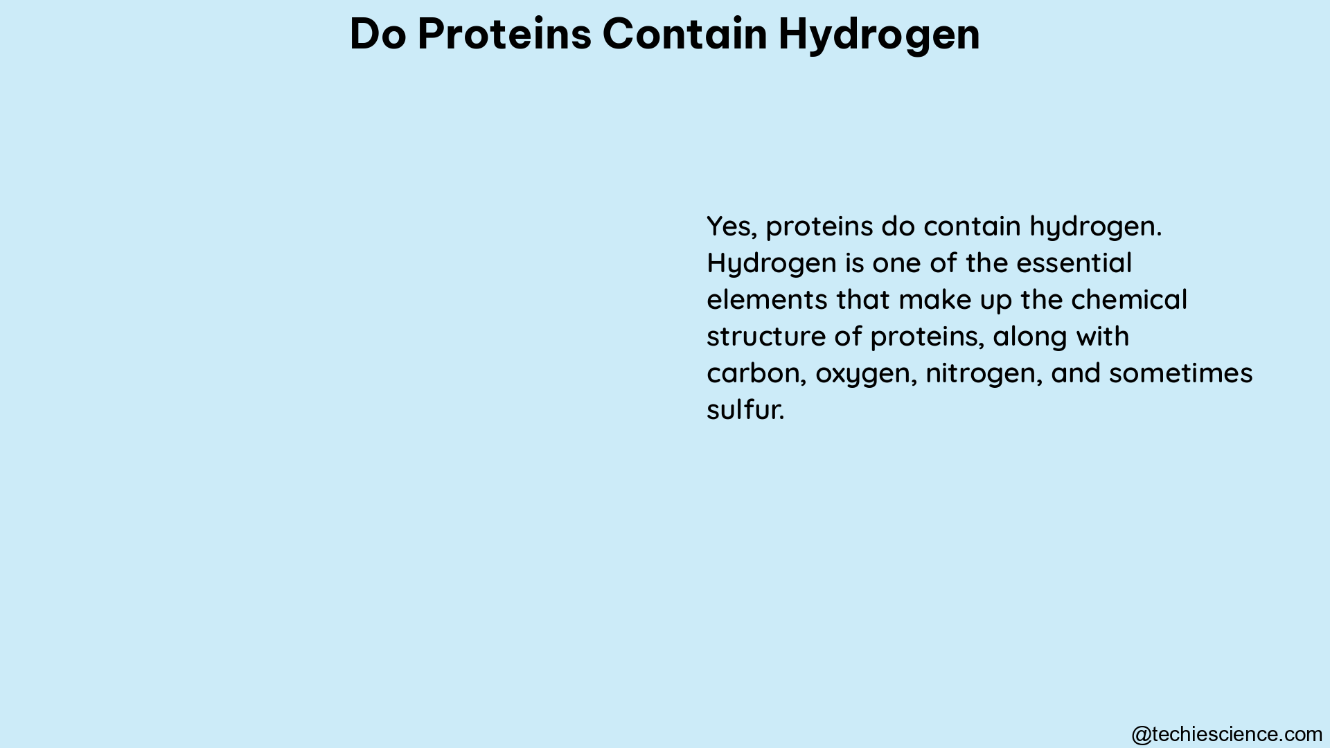 do proteins contain hydrogen