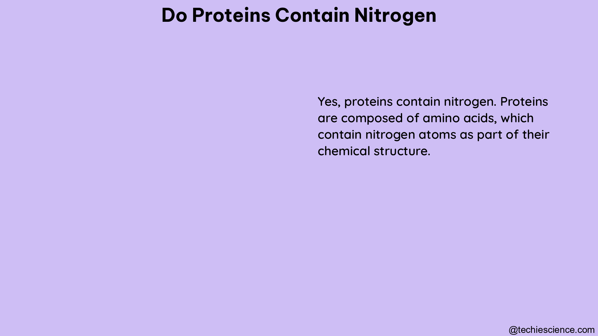 do proteins contain nitrogen