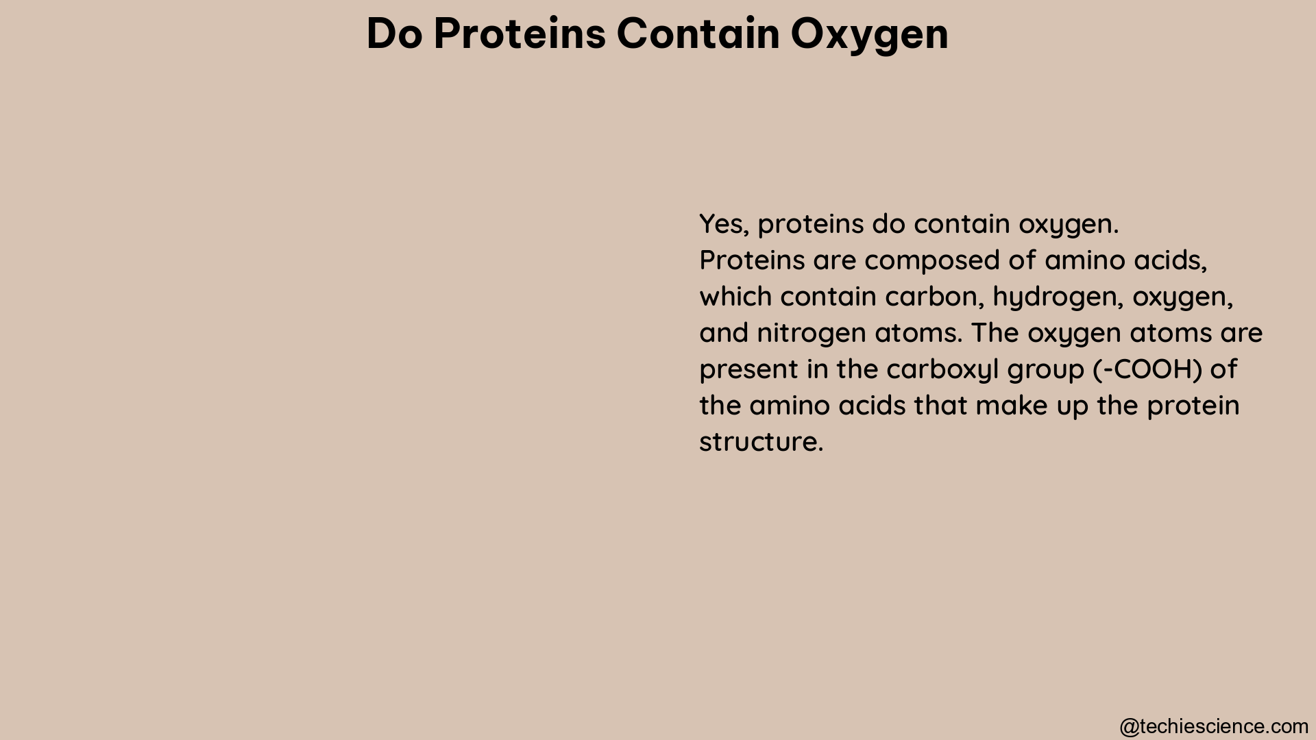 do proteins contain oxygen