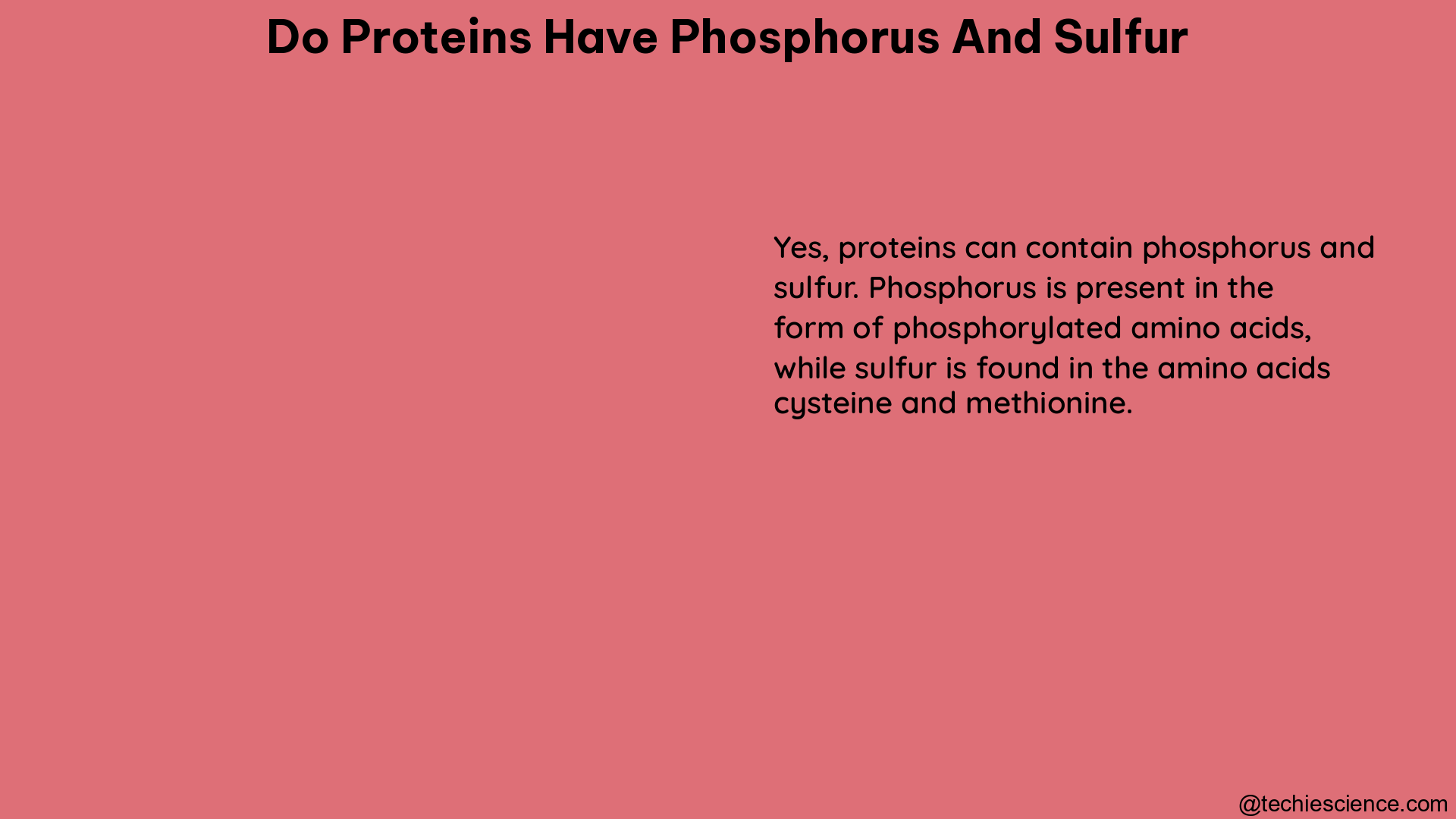 do proteins have phosphorus and sulfur 1