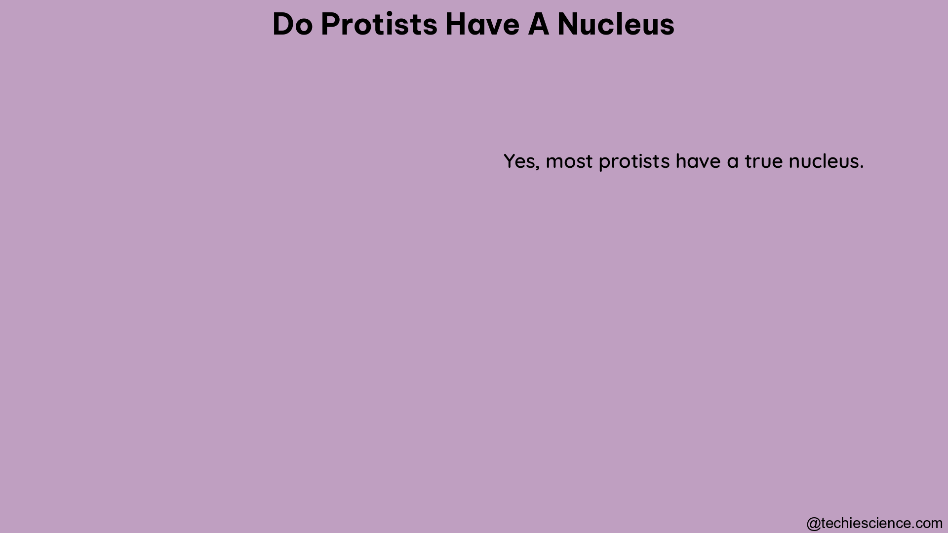 do protists have a nucleus