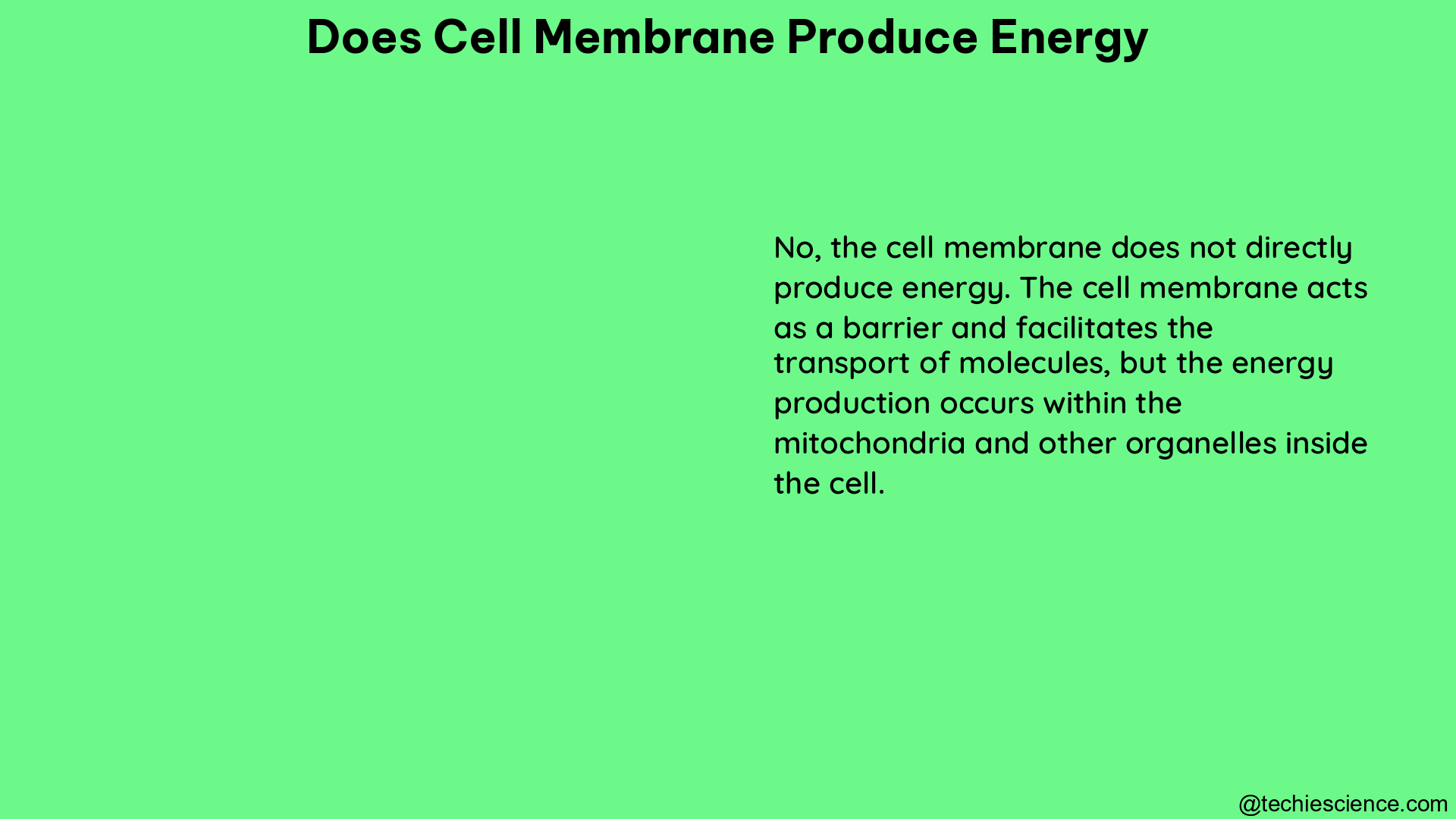 does cell membrane produce energy