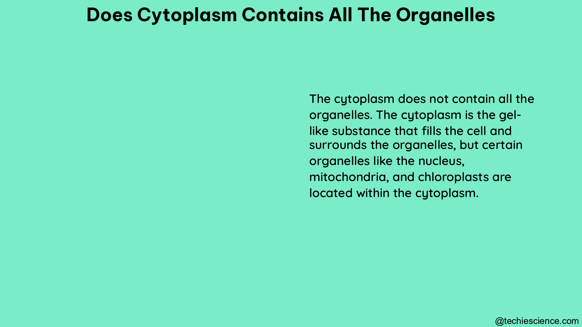 does cytoplasm contains all the organelles