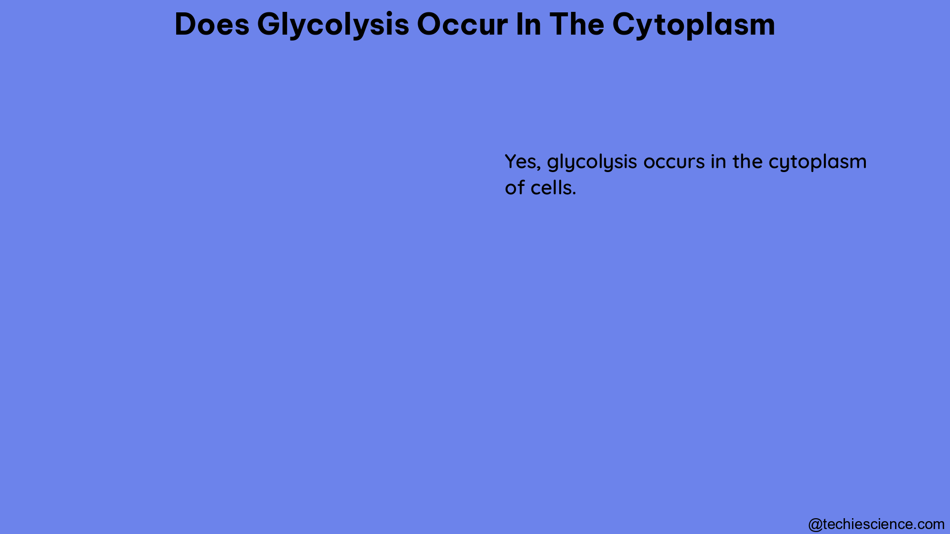 does glycolysis occur in the cytoplasm