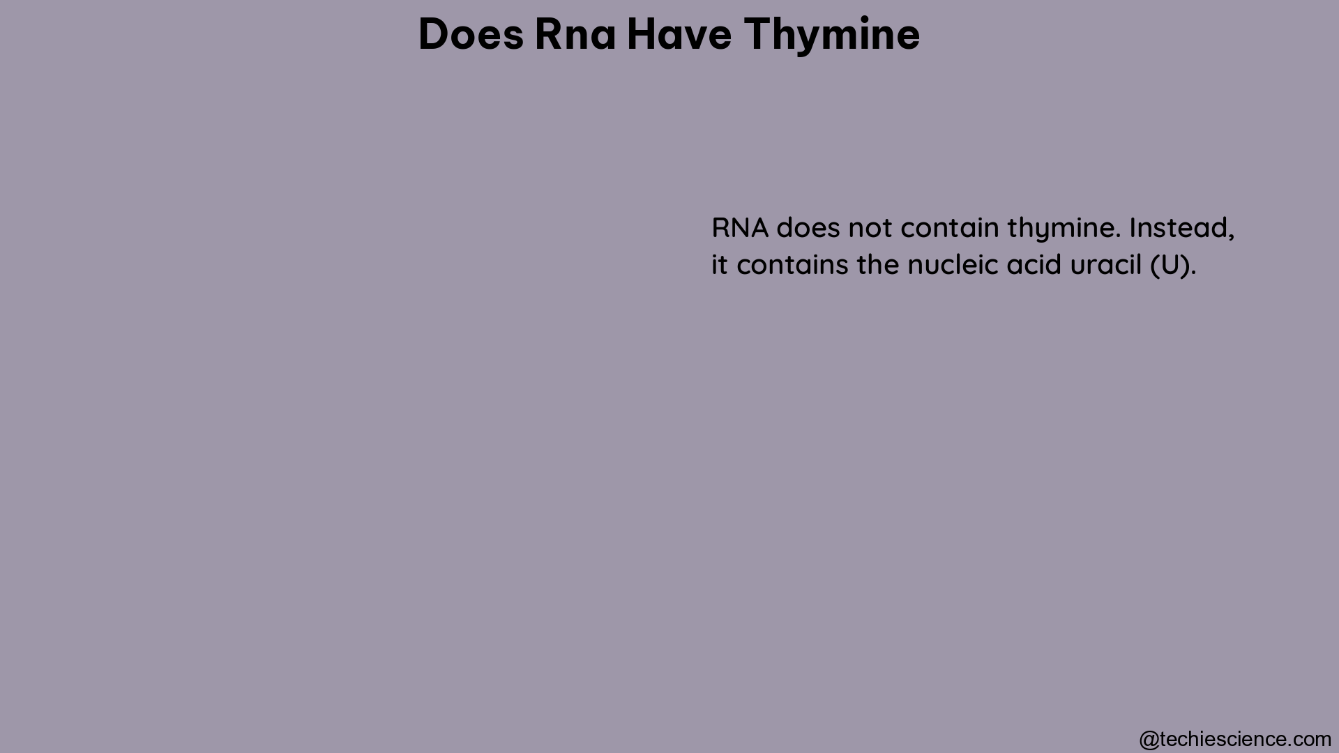 does rna have thymine