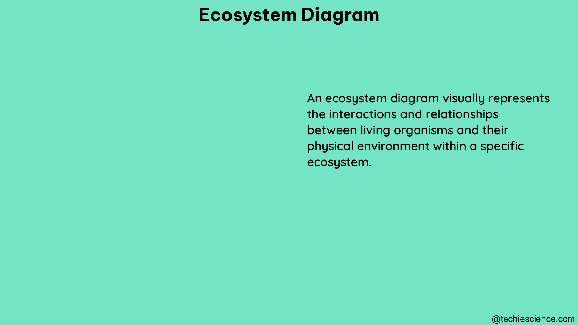 ecosystem diagram