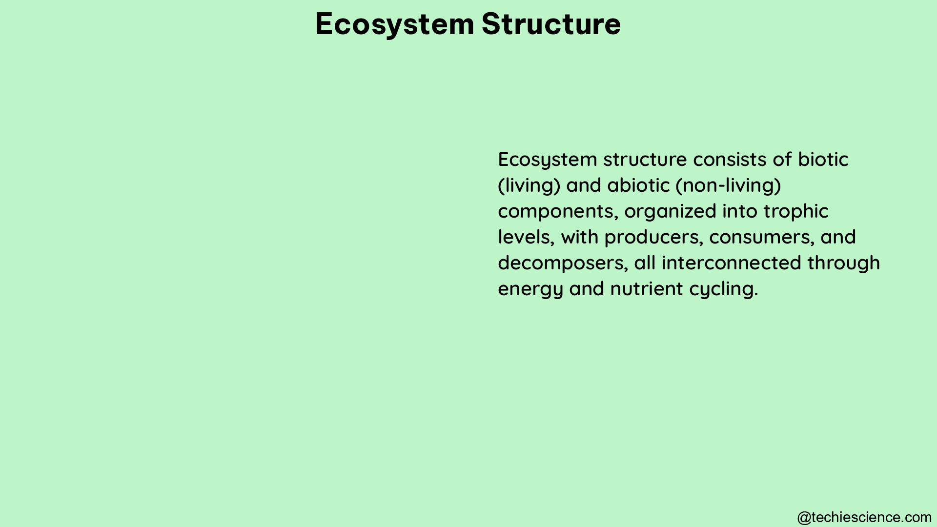 ecosystem structure