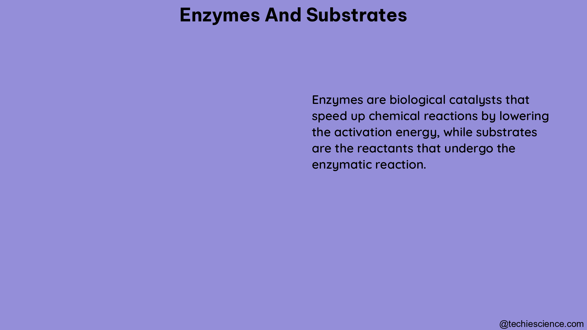 enzymes and substrates