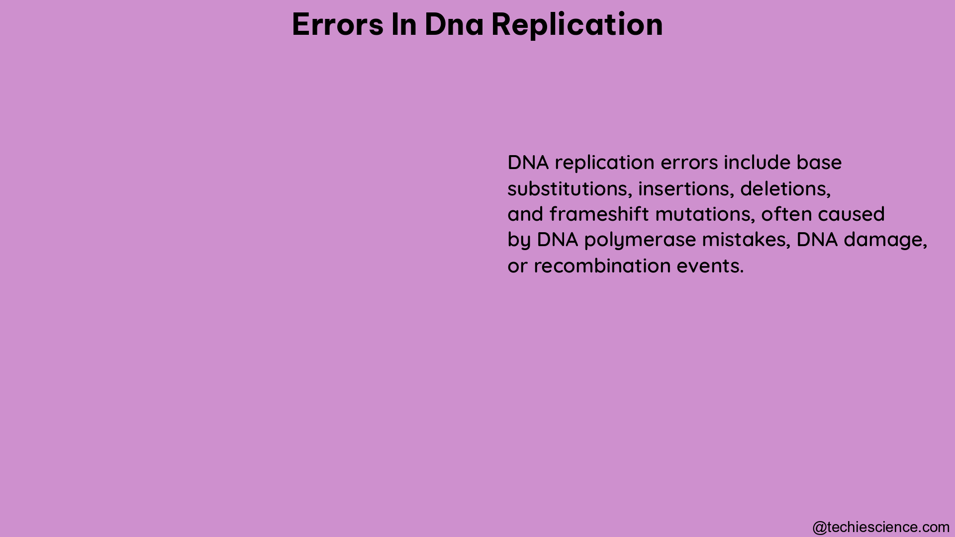 errors in dna replication