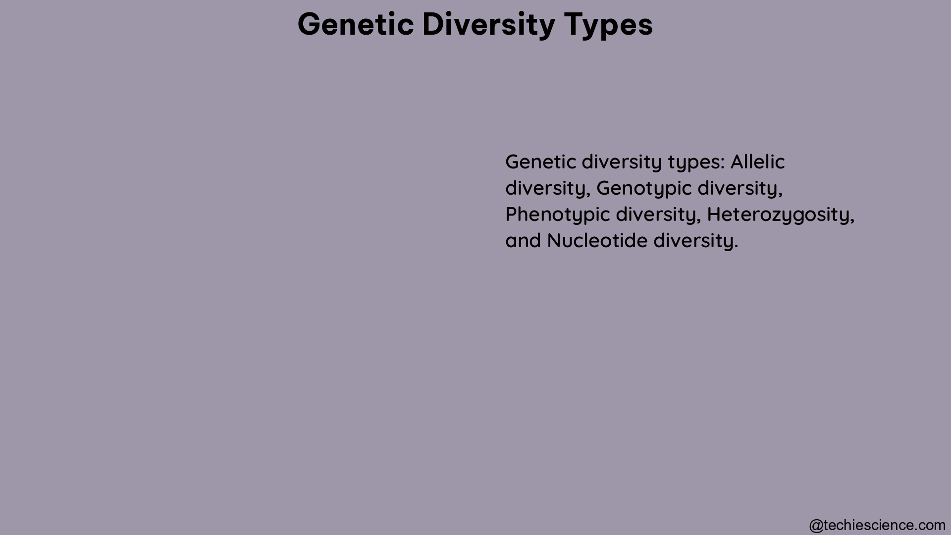 genetic diversity types