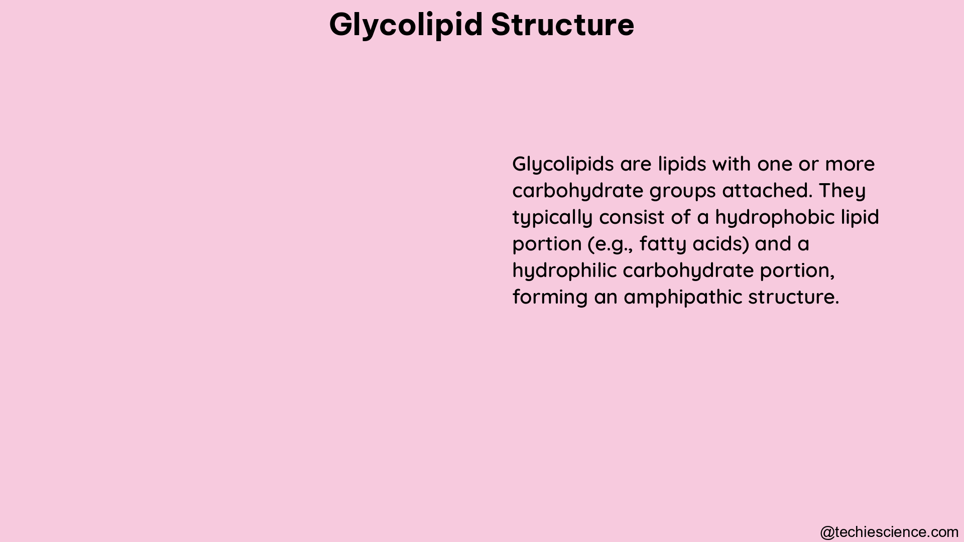 glycolipid structure