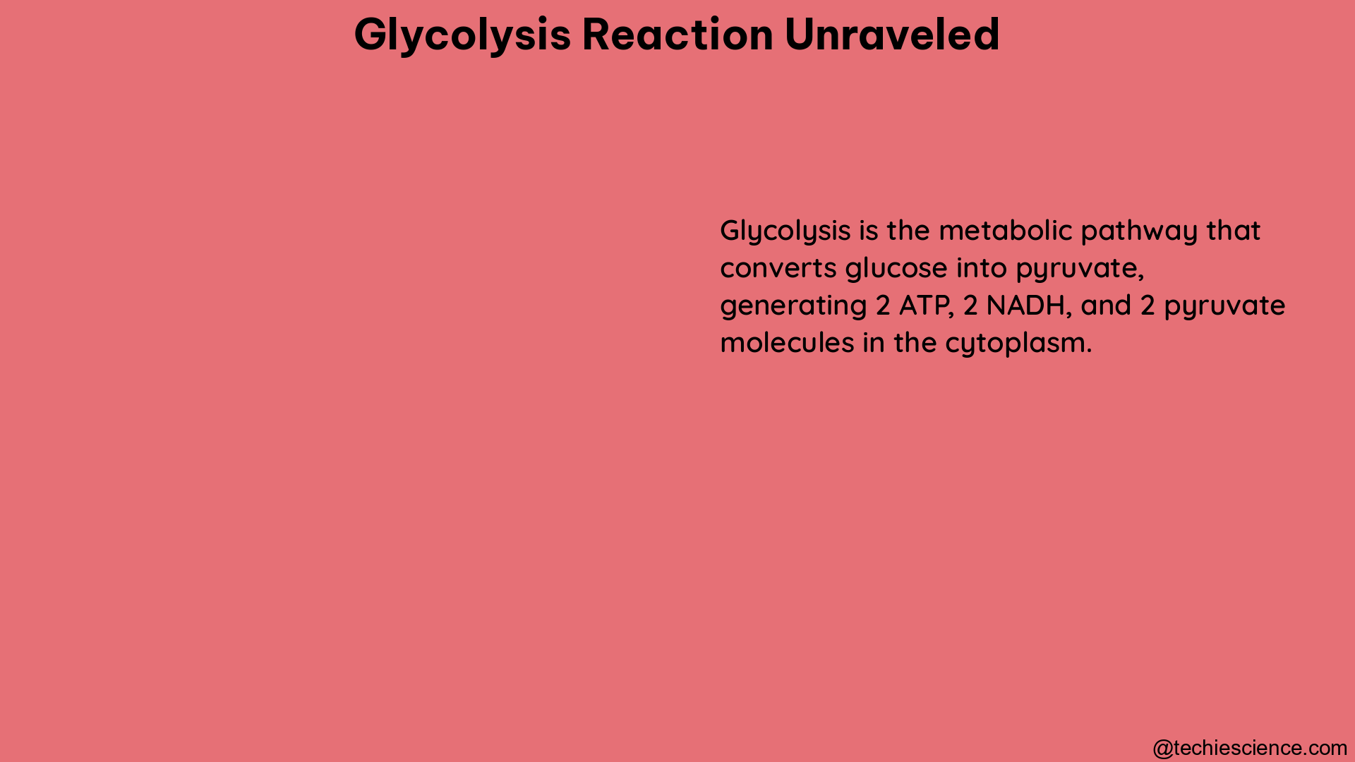 glycolysis reaction unraveled