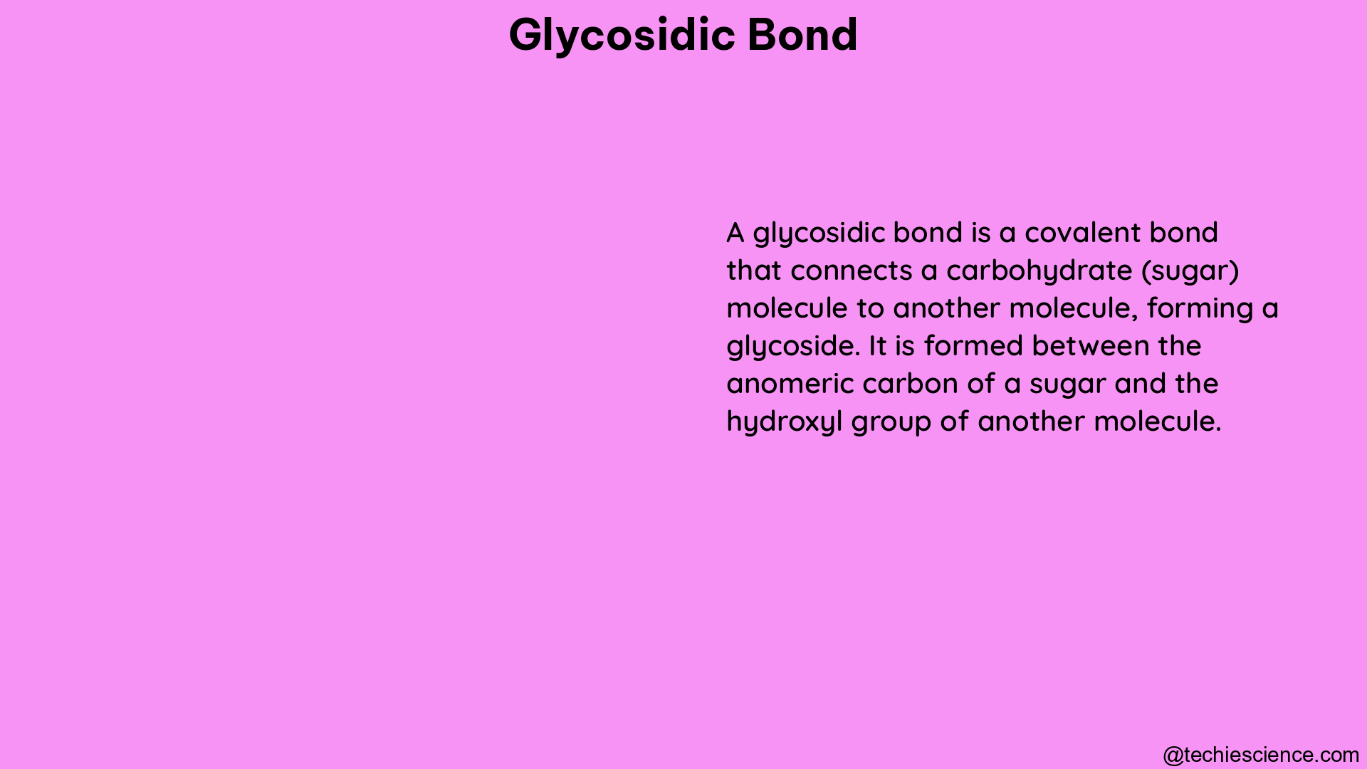 glycosidic bond