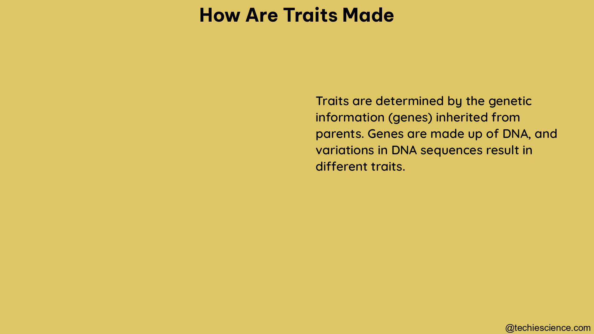 how are traits made