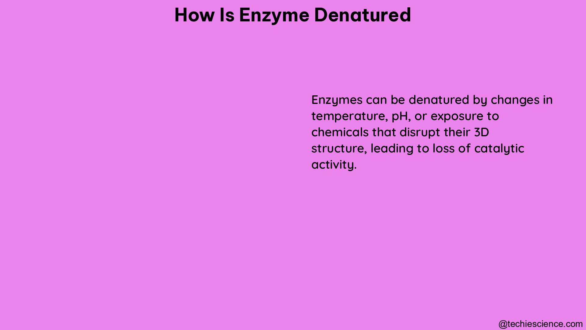 how is enzyme denatured