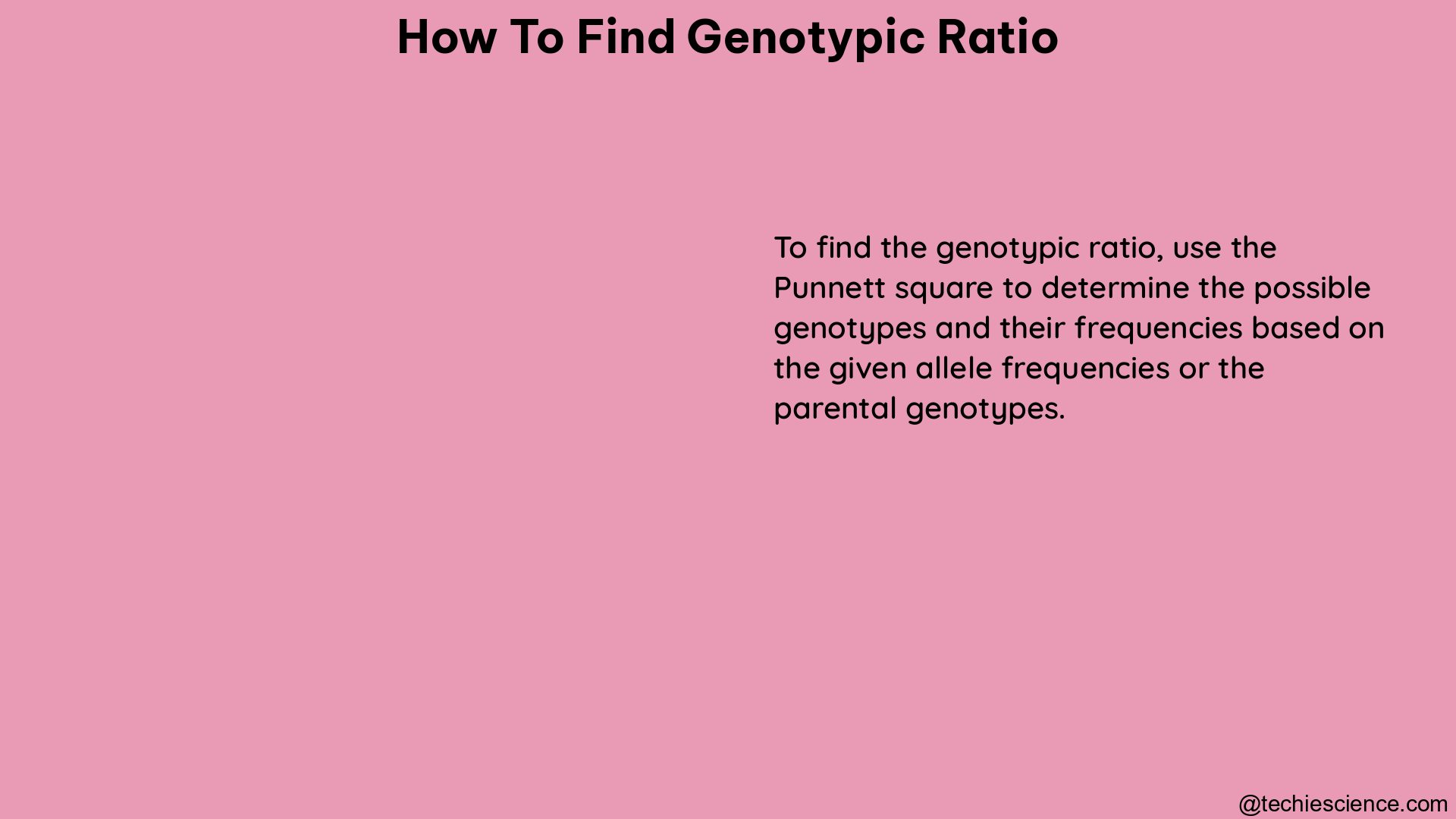 how to find genotypic ratio