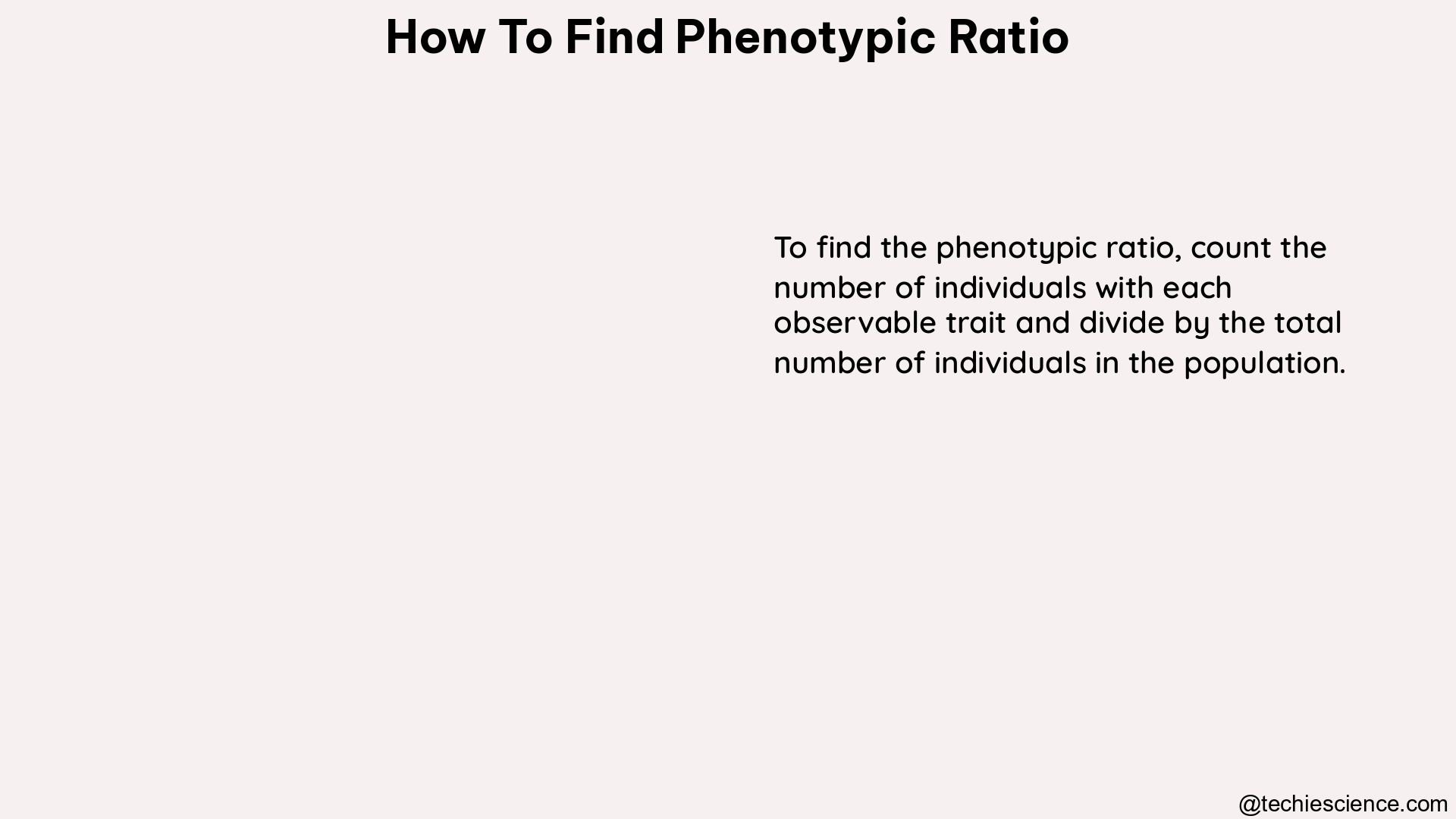 how to find phenotypic ratio