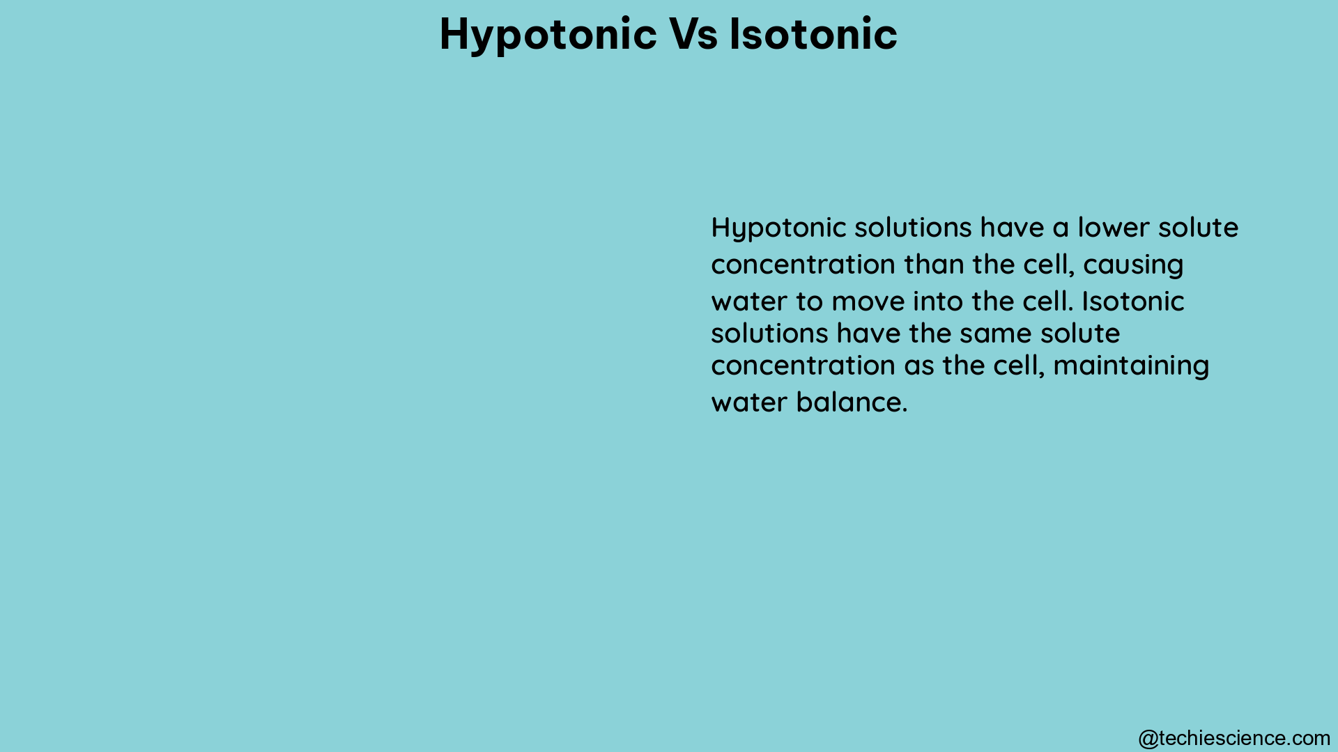 hypotonic vs isotonic