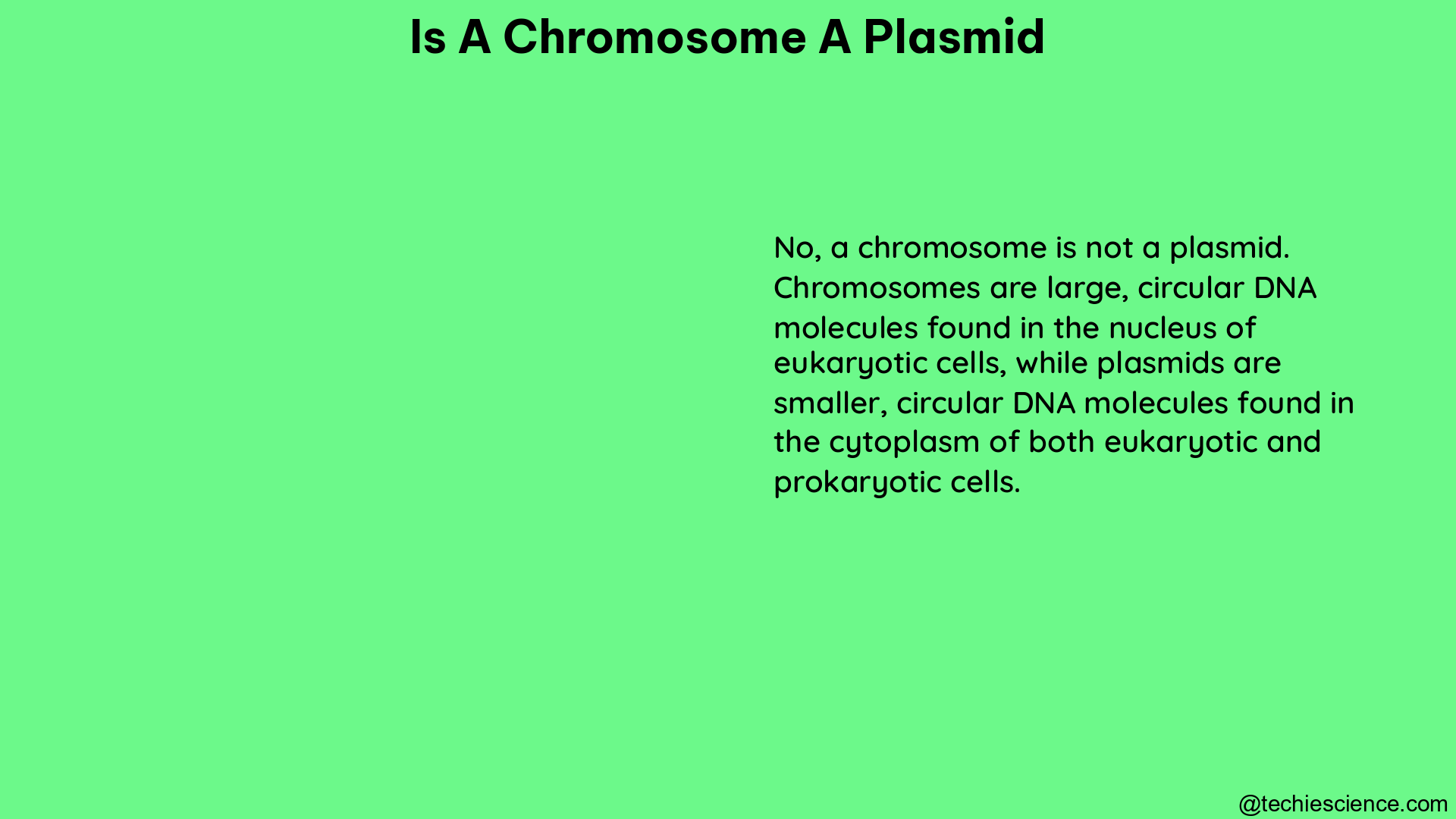 is a chromosome a plasmid