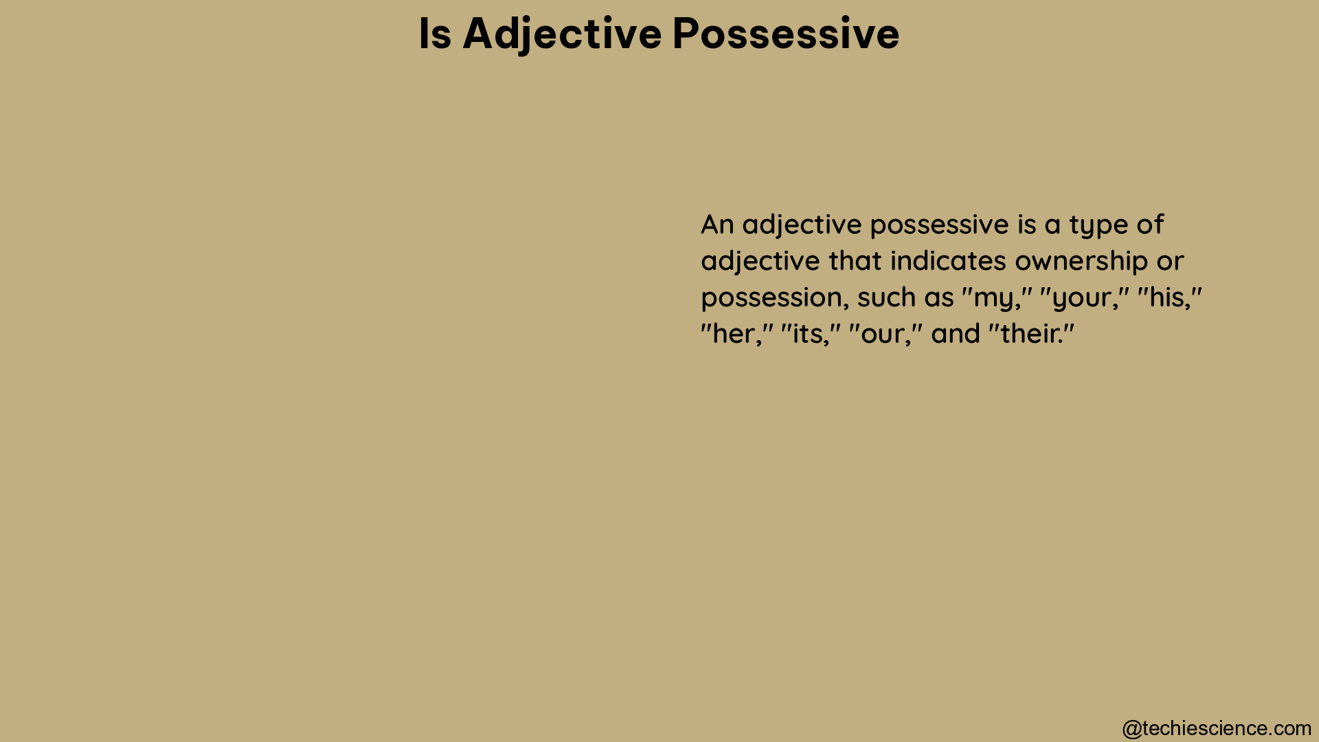 is adjective possessive