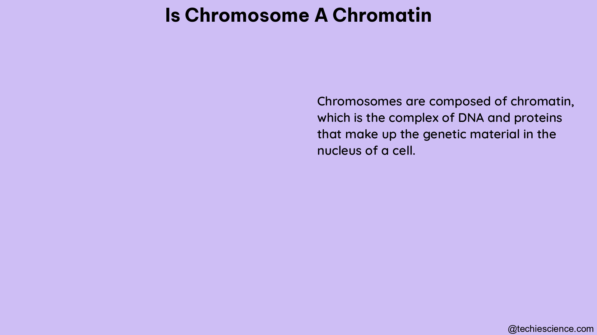 is chromosome a chromatin