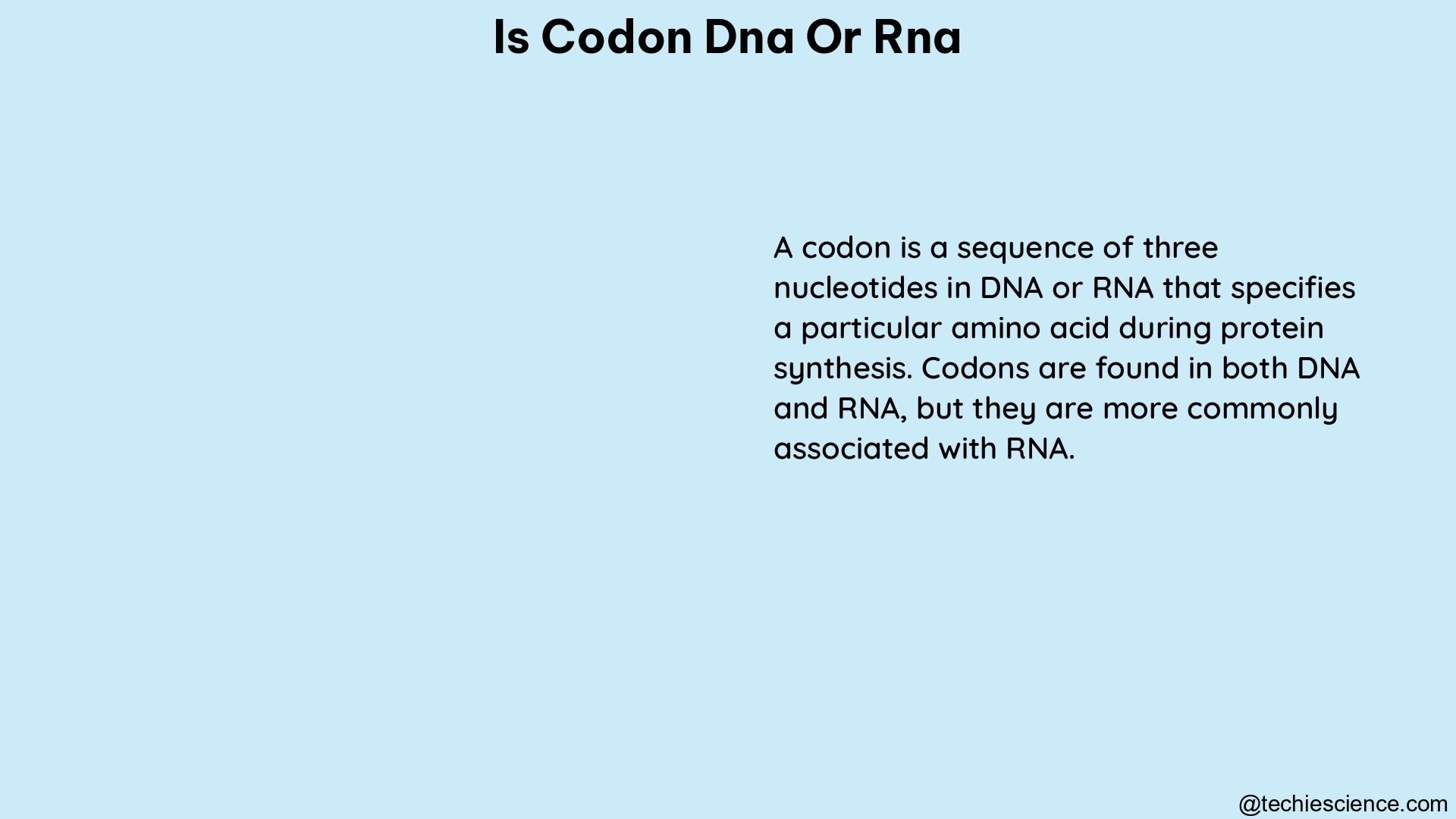 is codon dna or rna