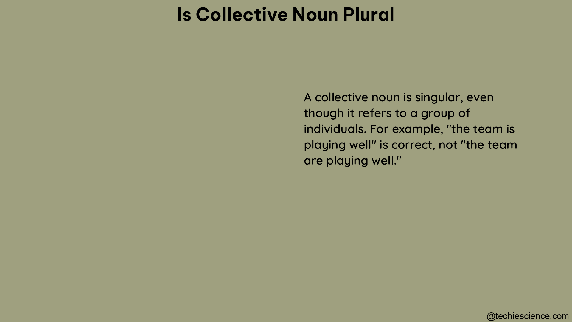 is collective noun plural