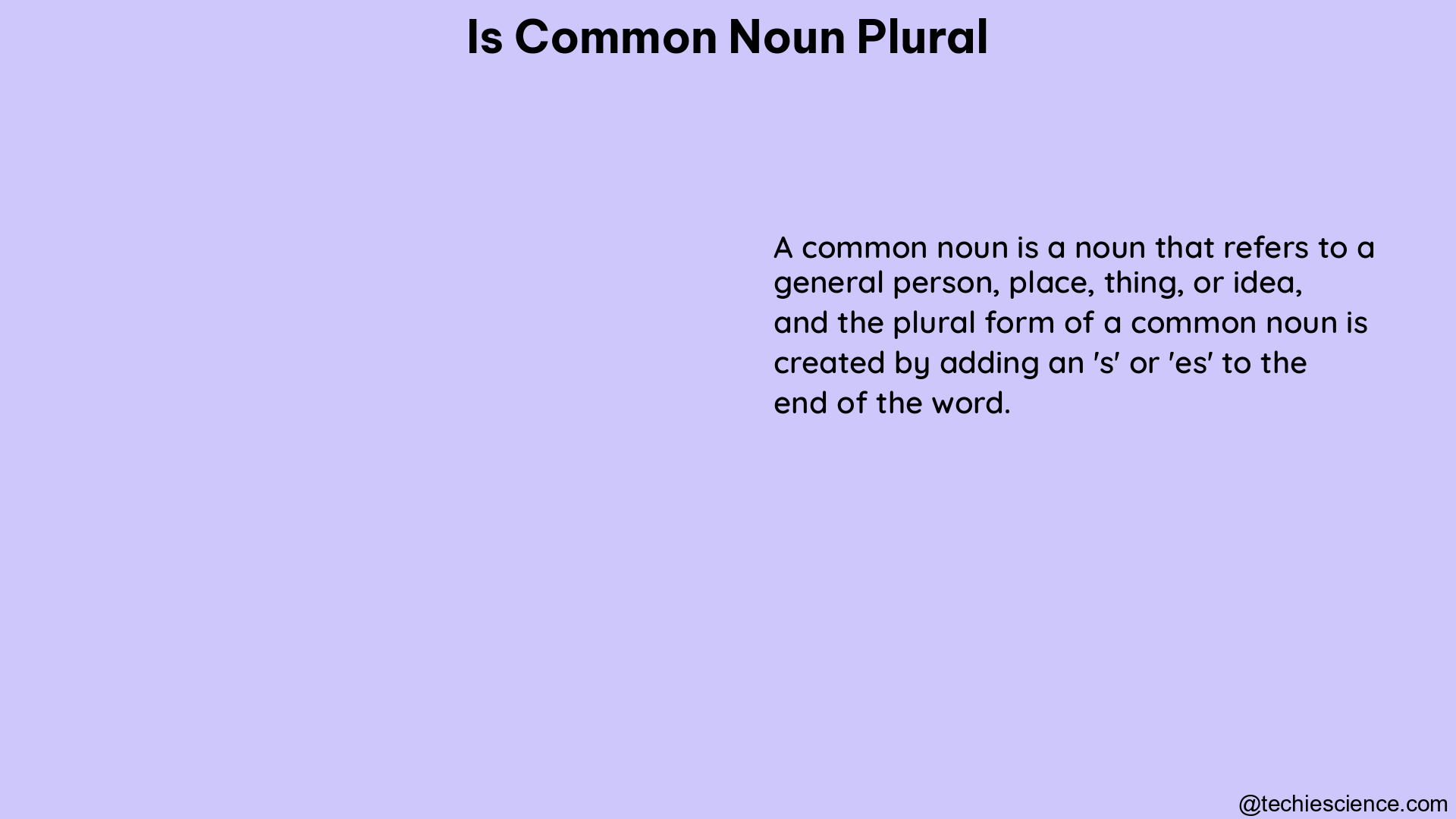 is common noun plural