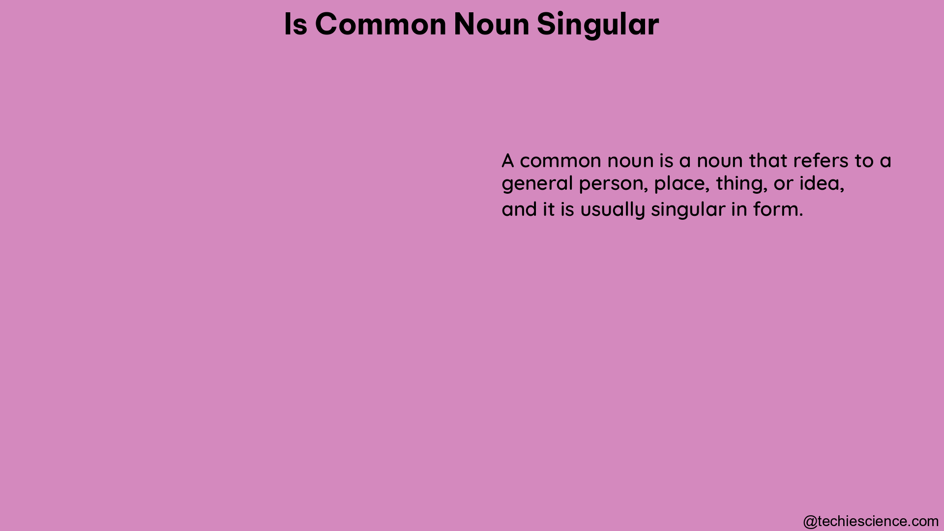 is common noun singular