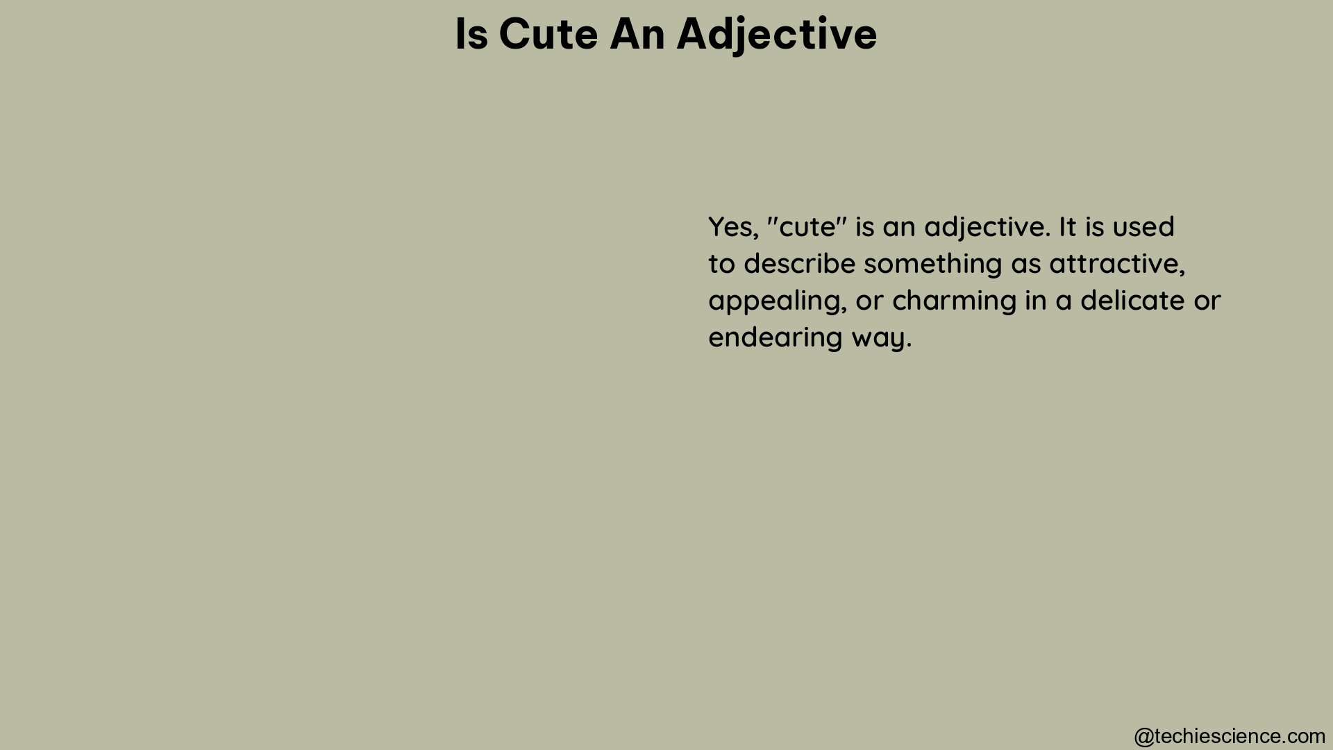 is cute an adjective