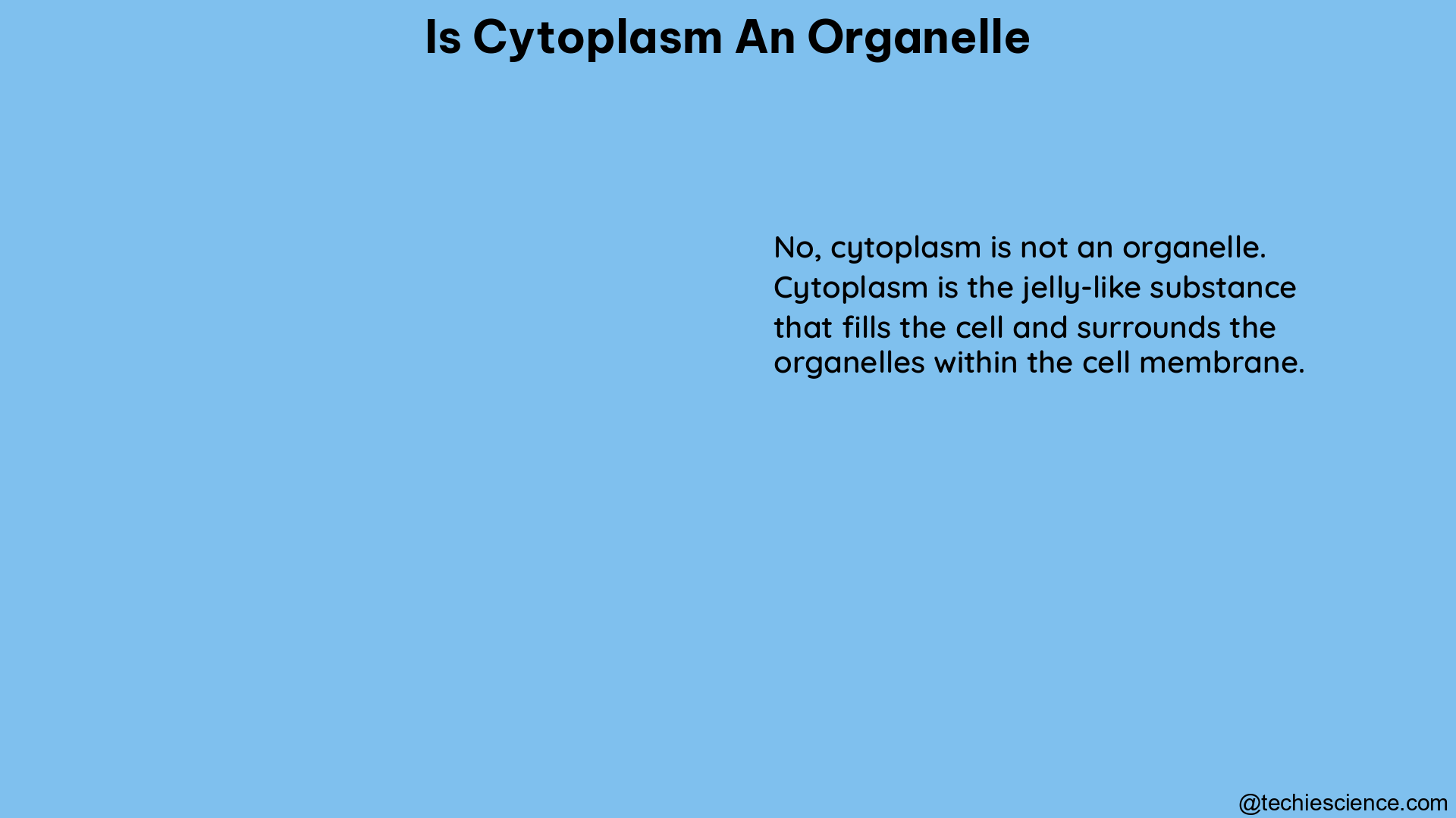 is cytoplasm an organelle