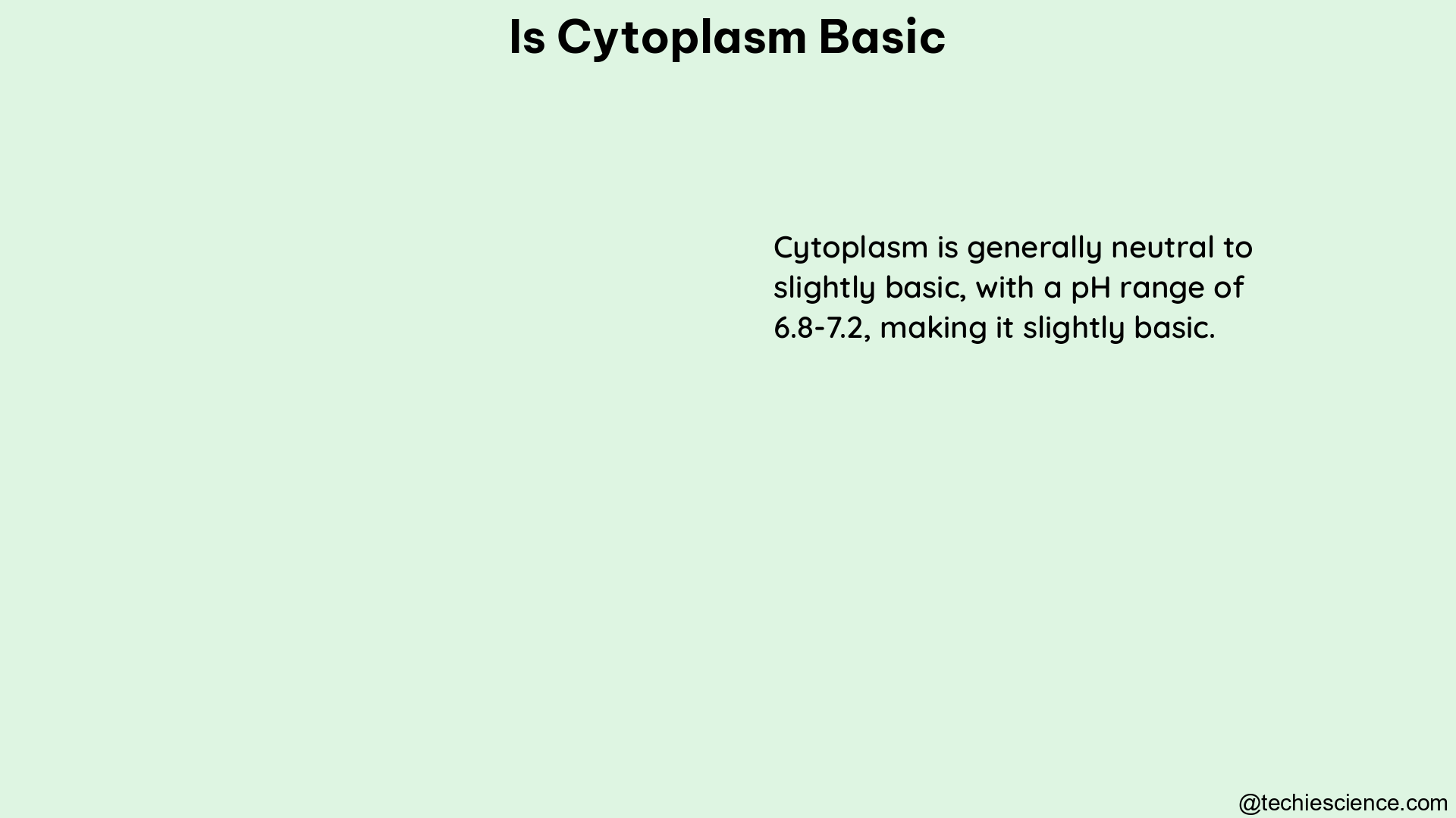 is cytoplasm basic