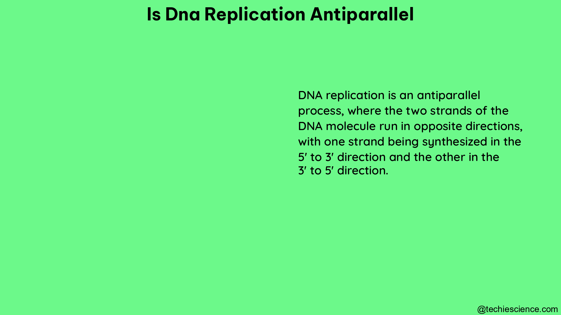 is dna replication antiparallel