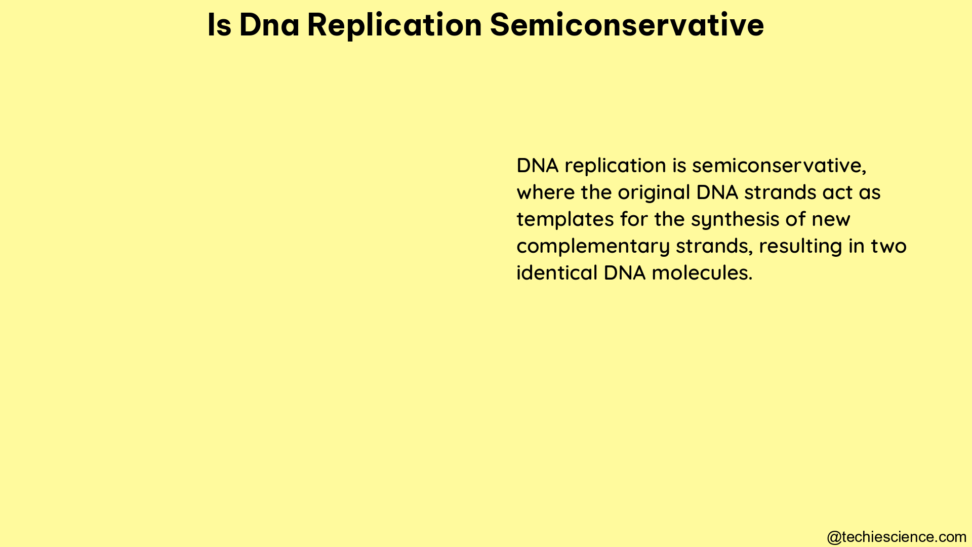 is dna replication semiconservative