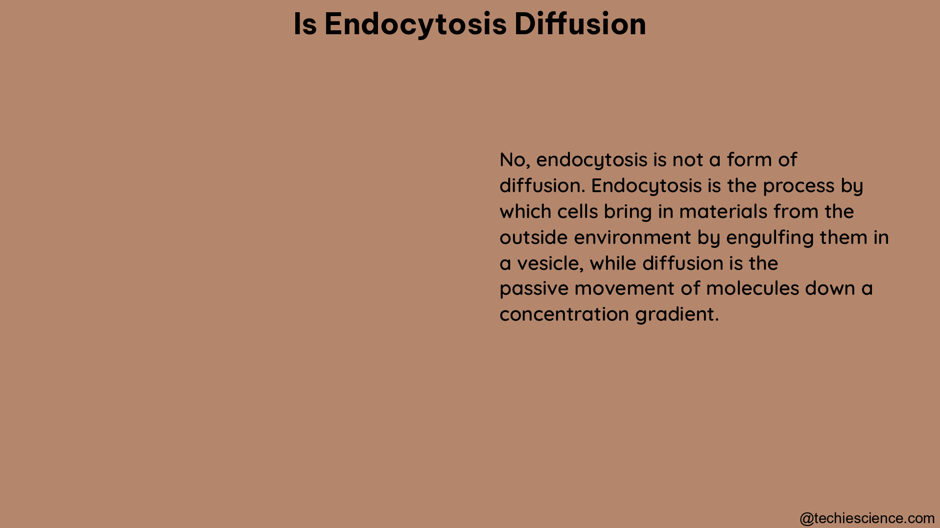 is endocytosis diffusion