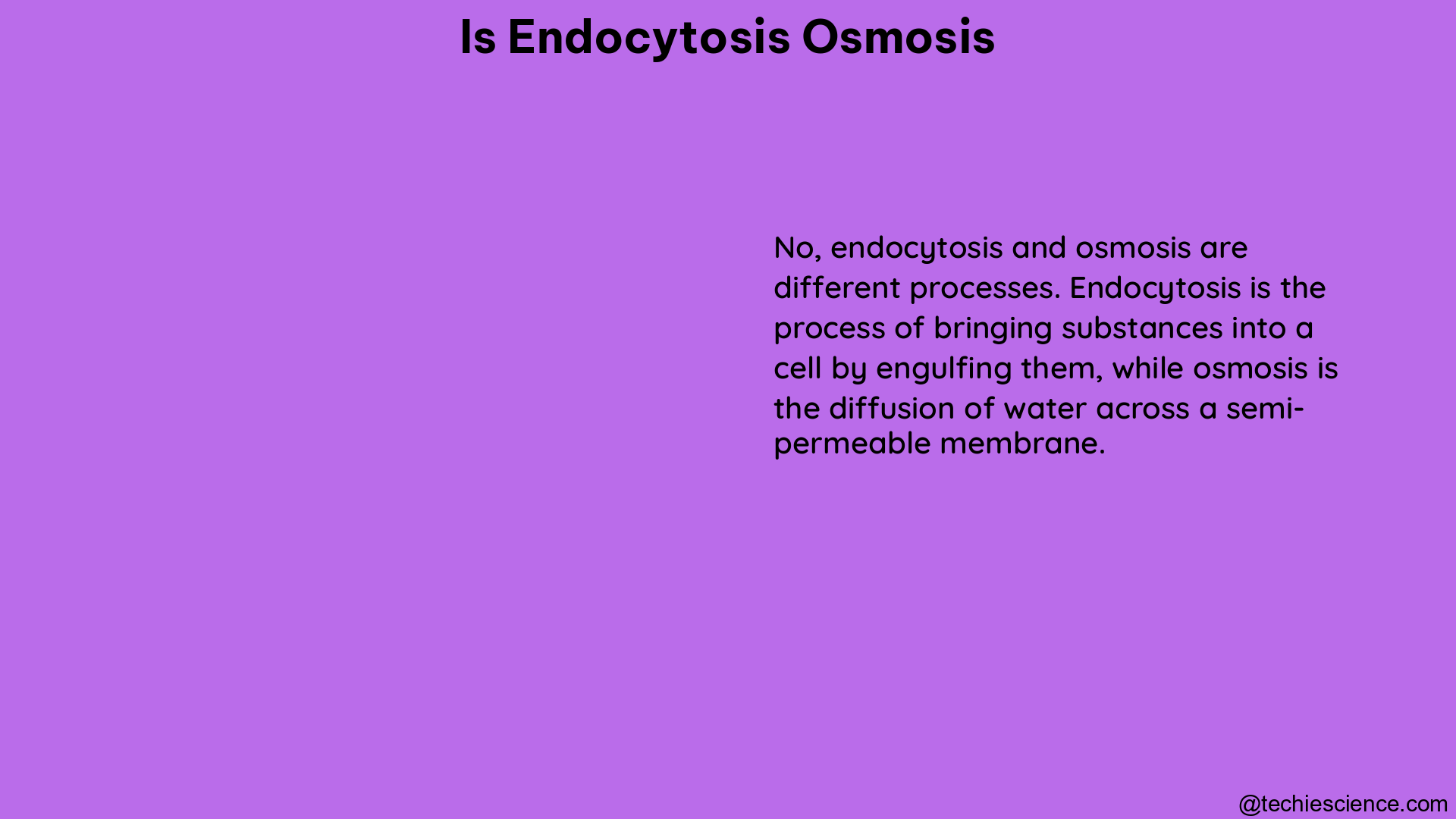 is endocytosis osmosis