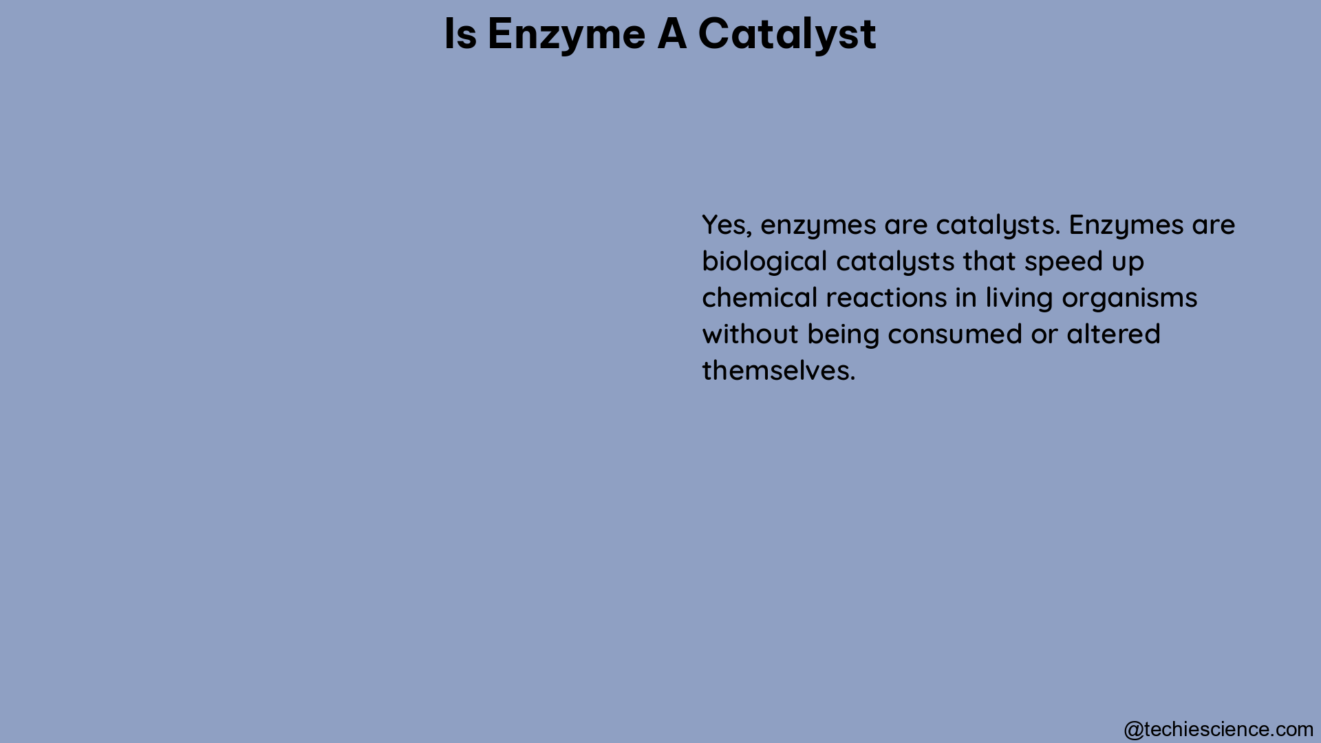 is enzyme a catalyst