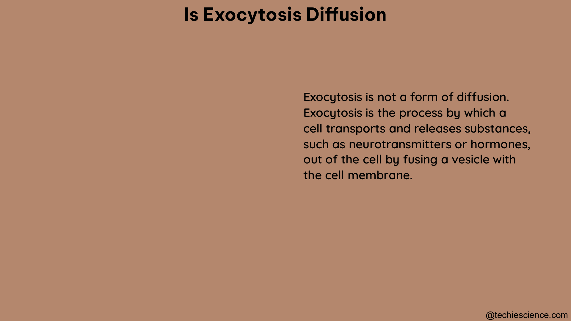 is exocytosis diffusion