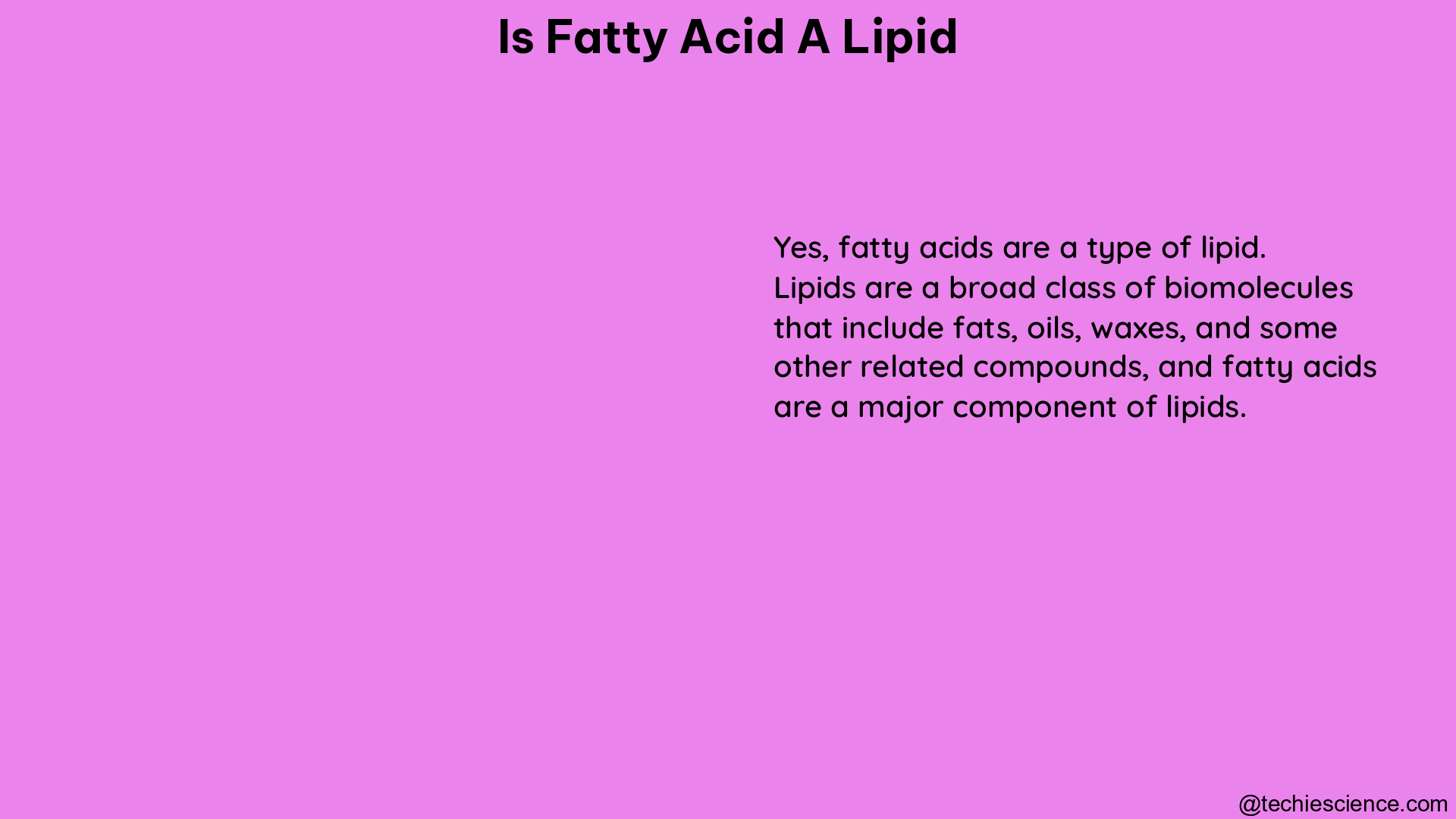 is fatty acid a lipid