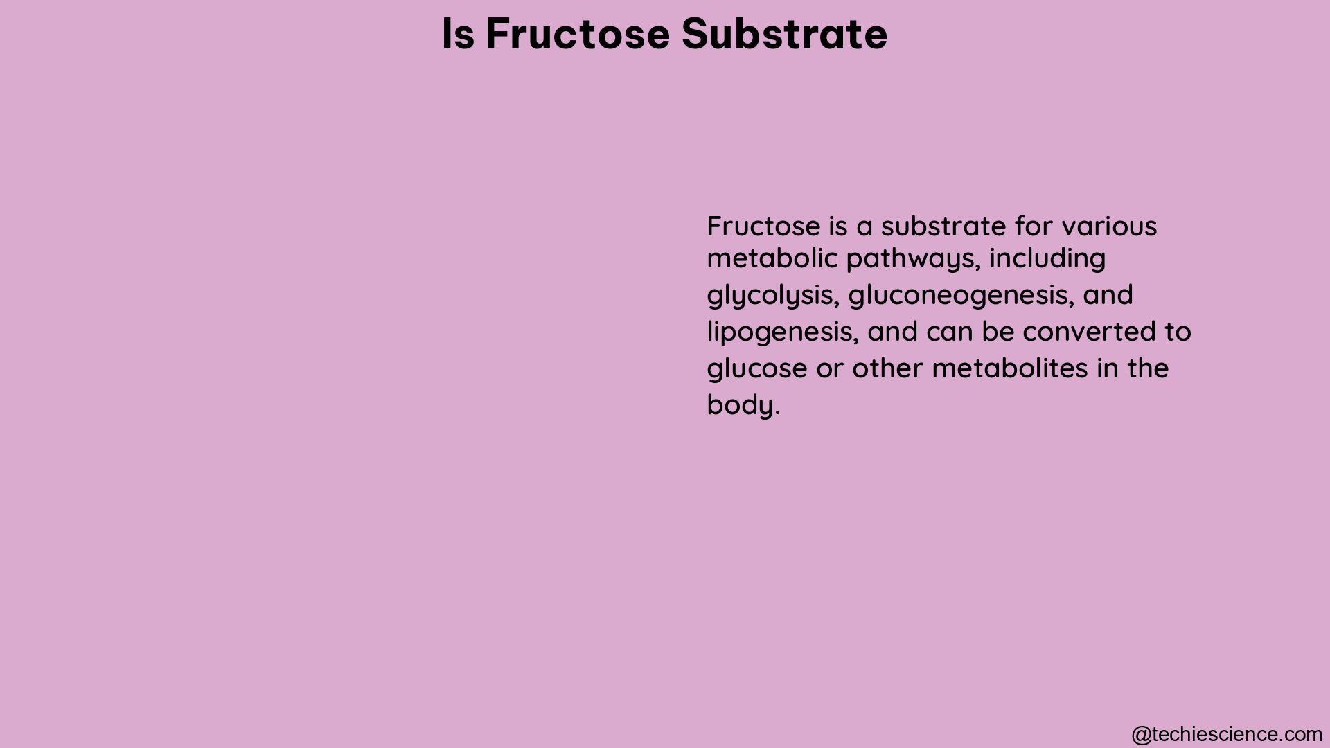 is fructose substrate