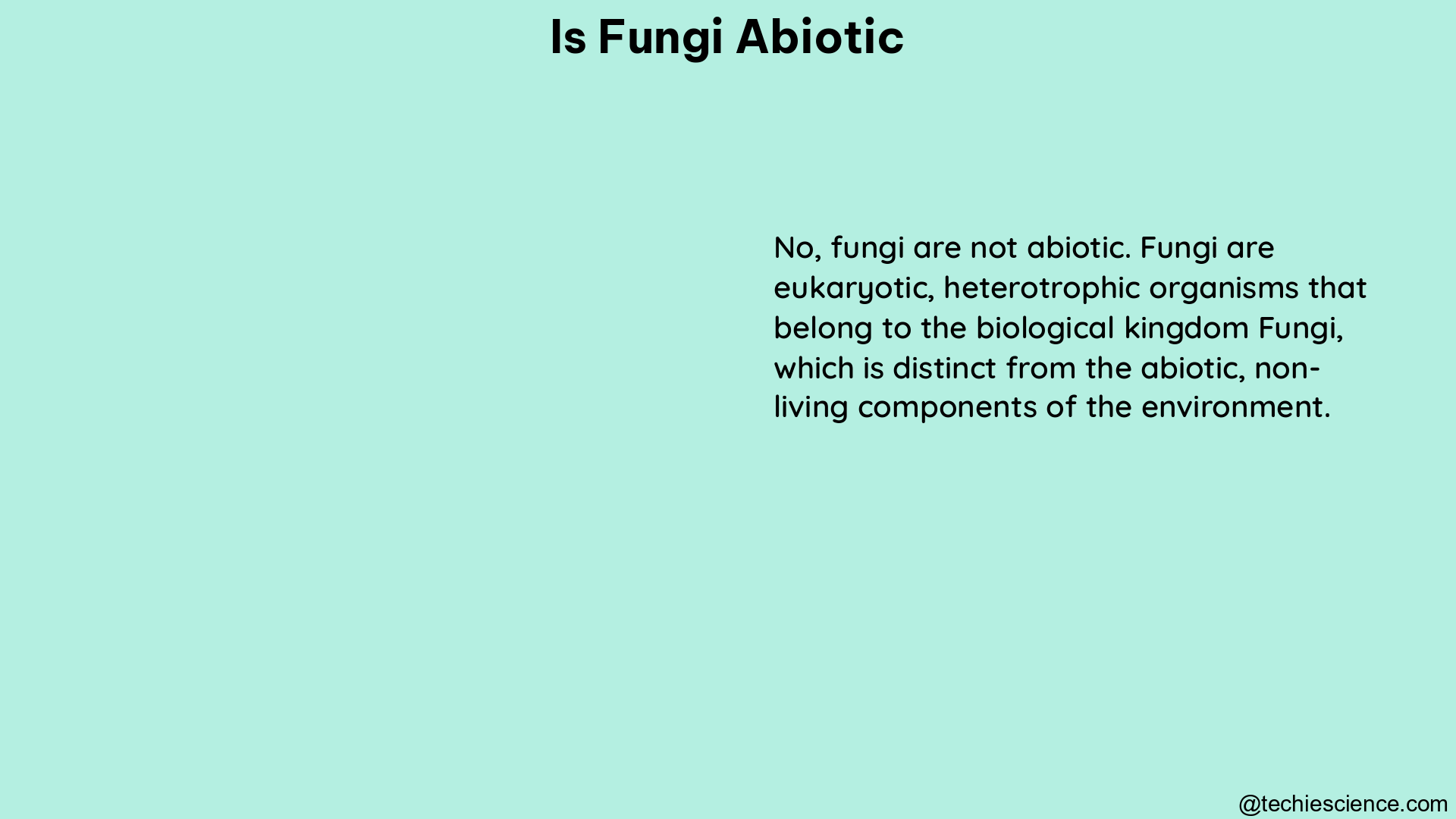 is fungi abiotic