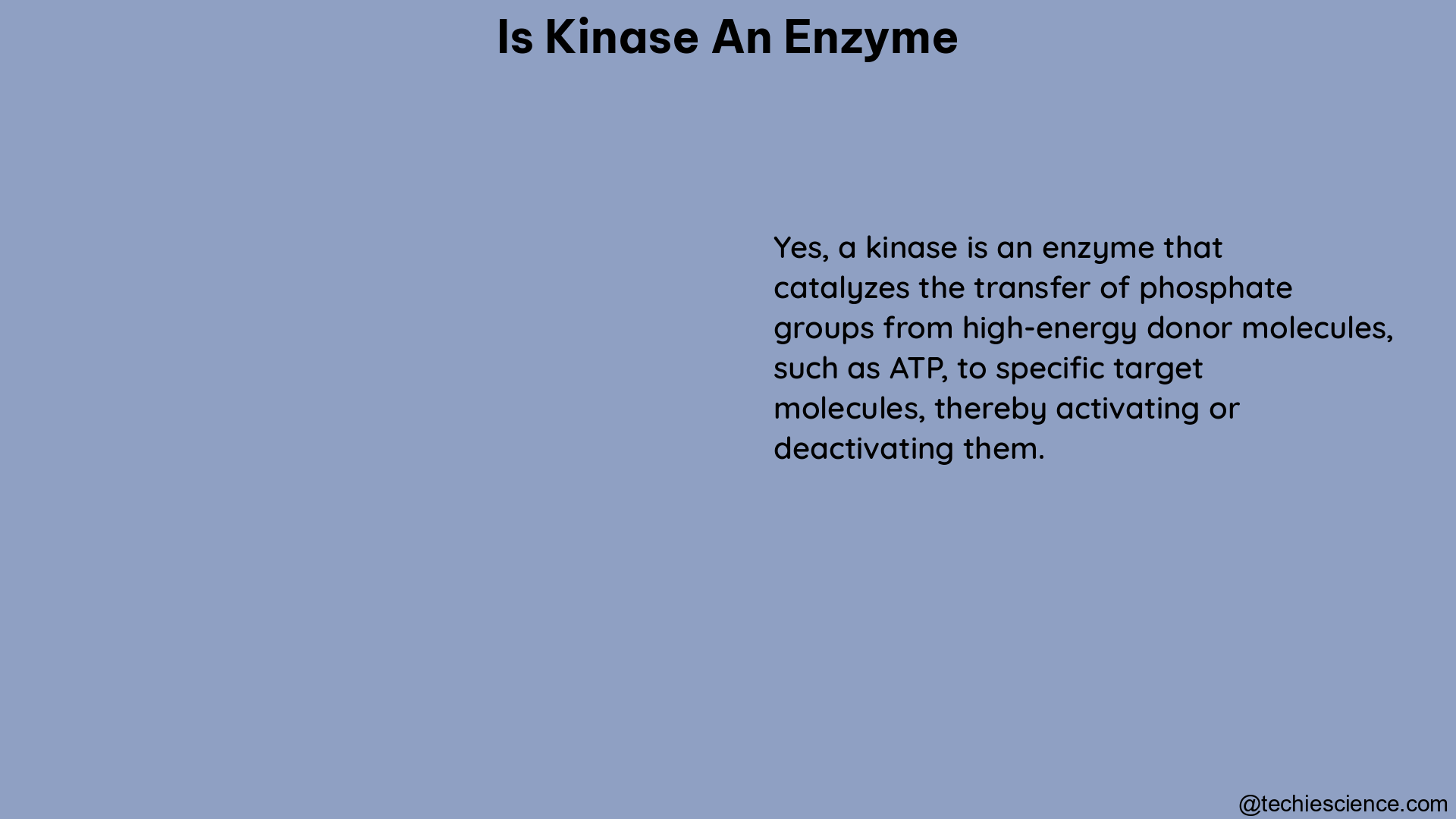 is kinase an enzyme